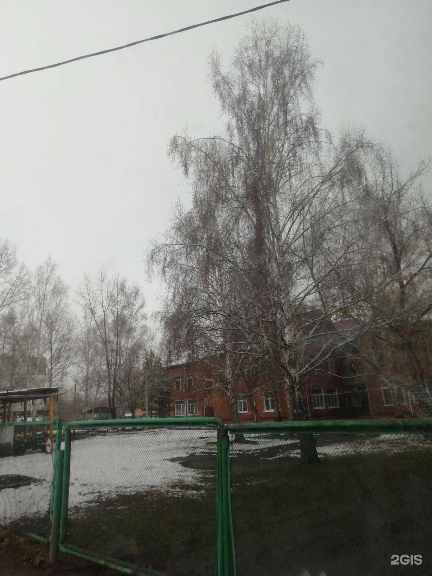 Отзывы на компанию Чебурашка в г. Шарыпово c фото