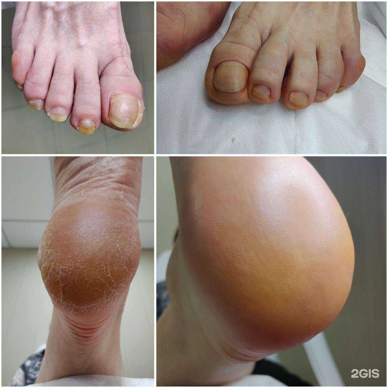 Отзывы на компанию Mi amor в Волгограде c фото