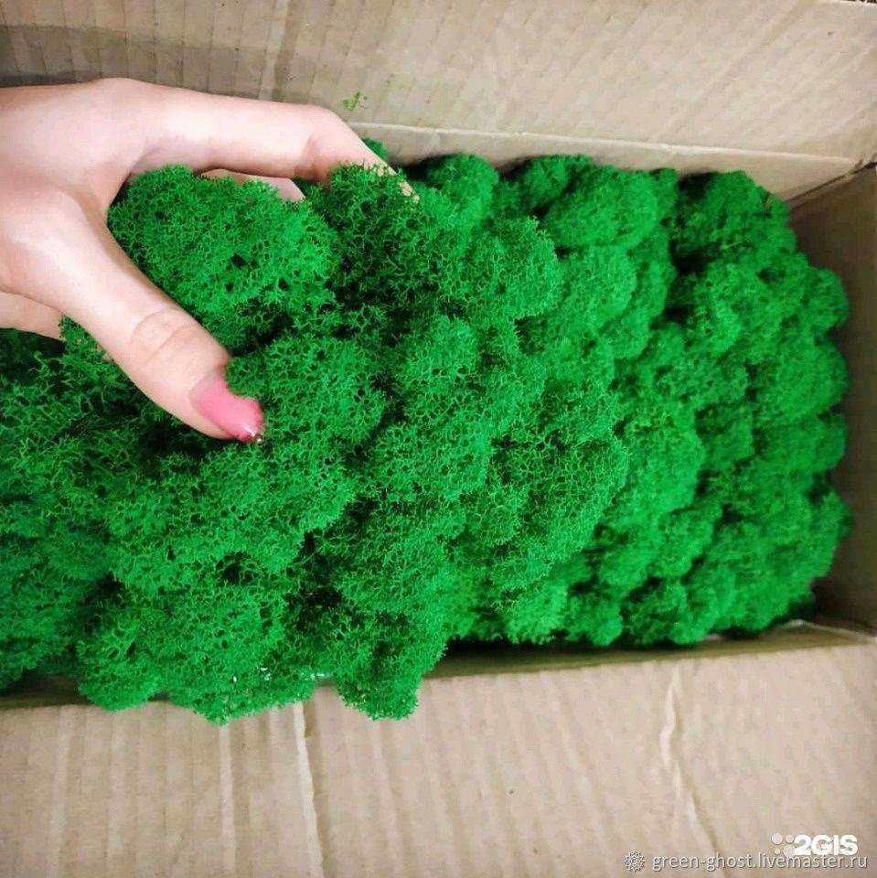 Отзывы на компанию Ozeleni в Новокузнецке c фото