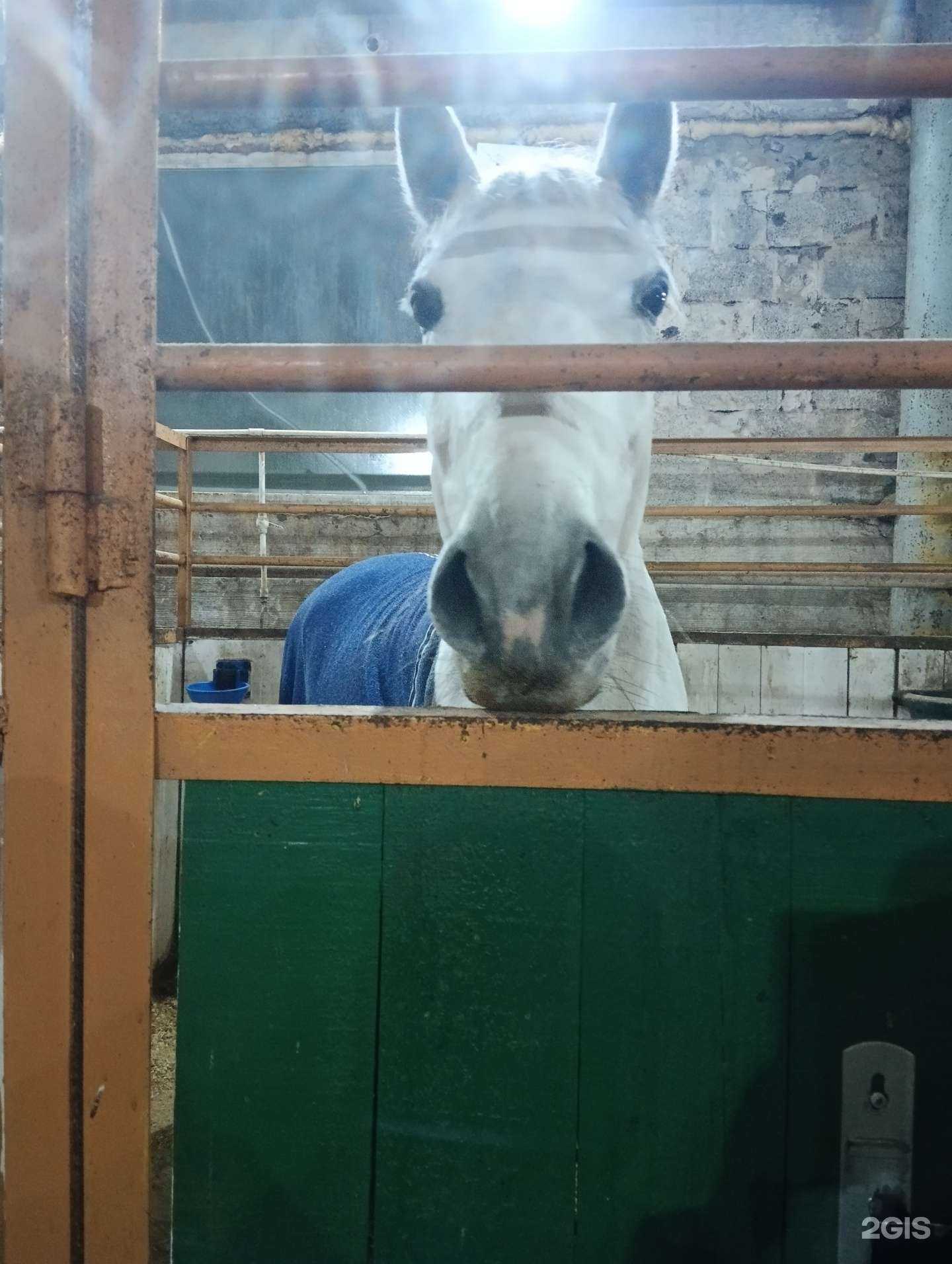 Отзывы на компанию Купава в Ноябрьске c фото