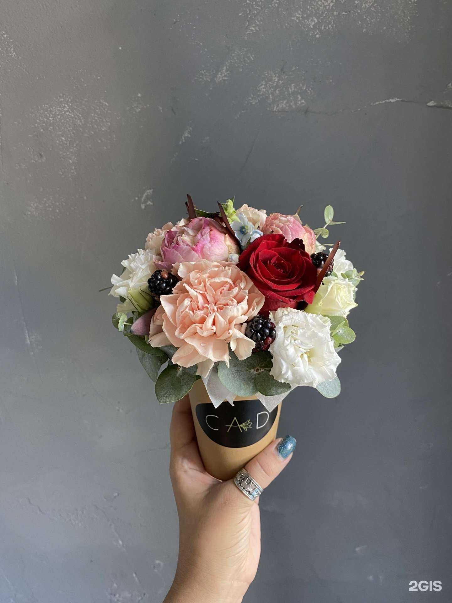 Отзывы на компанию Cad в Пензе c фото