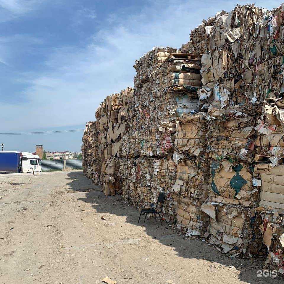 Отзывы на компанию Зеленый город в Новосибирске c фото