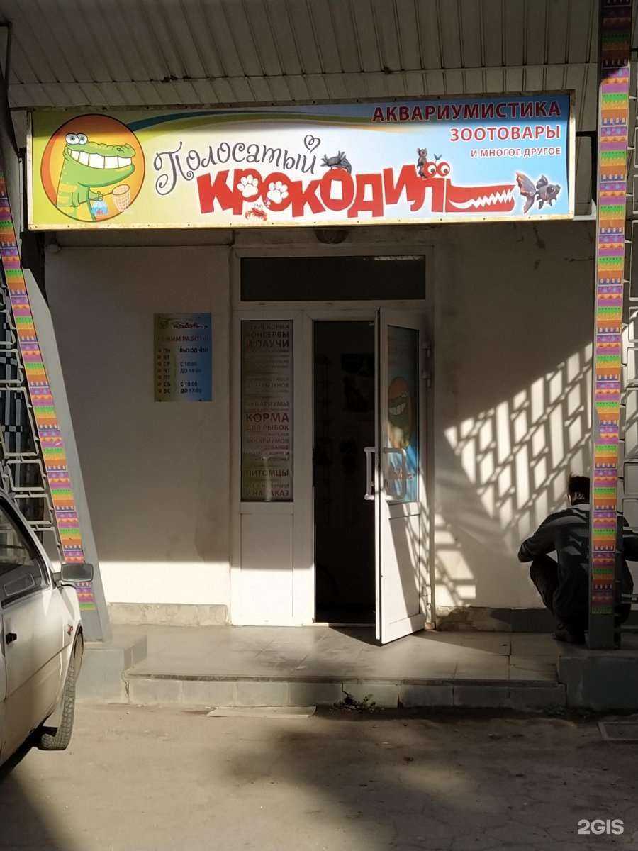 Отзывы на компанию Полосатый крокодил в Новомосковске c фото