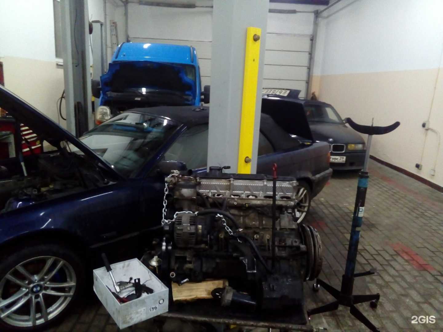 Отзывы на компанию Берд в г. Калининград c фото