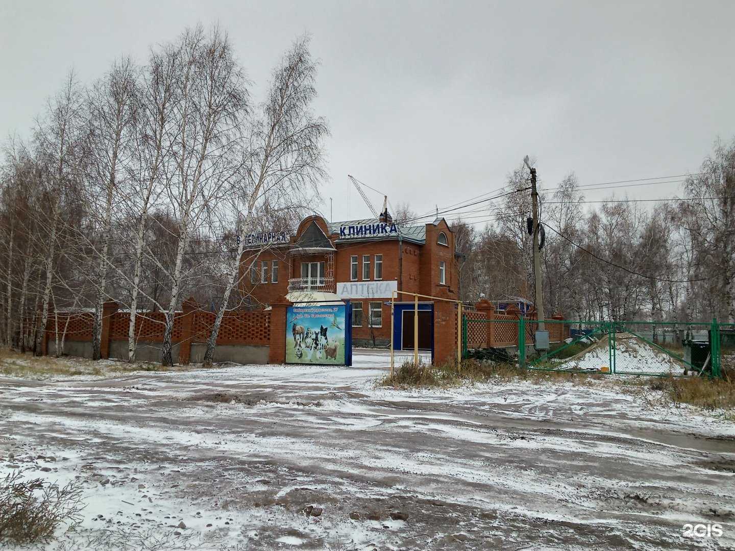 Отзывы на компанию Ветеринарный лечебно-профилактический комплекс в Омске c фото