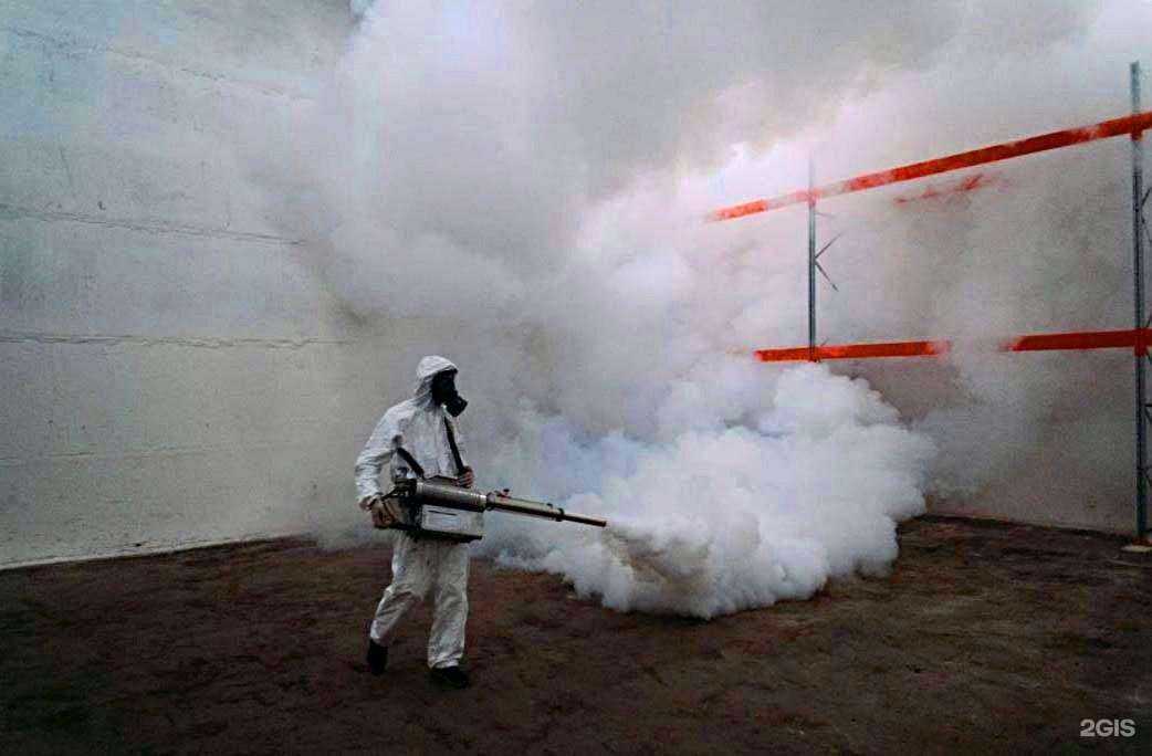 Отзывы на компанию ДезМастер в Калининграде c фото