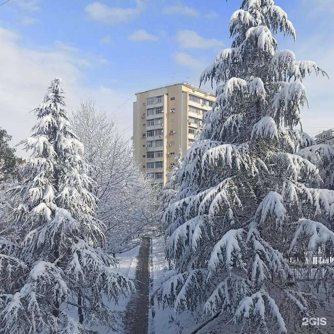 Отзывы на компанию Средняя школа №26 в Сочи c фото