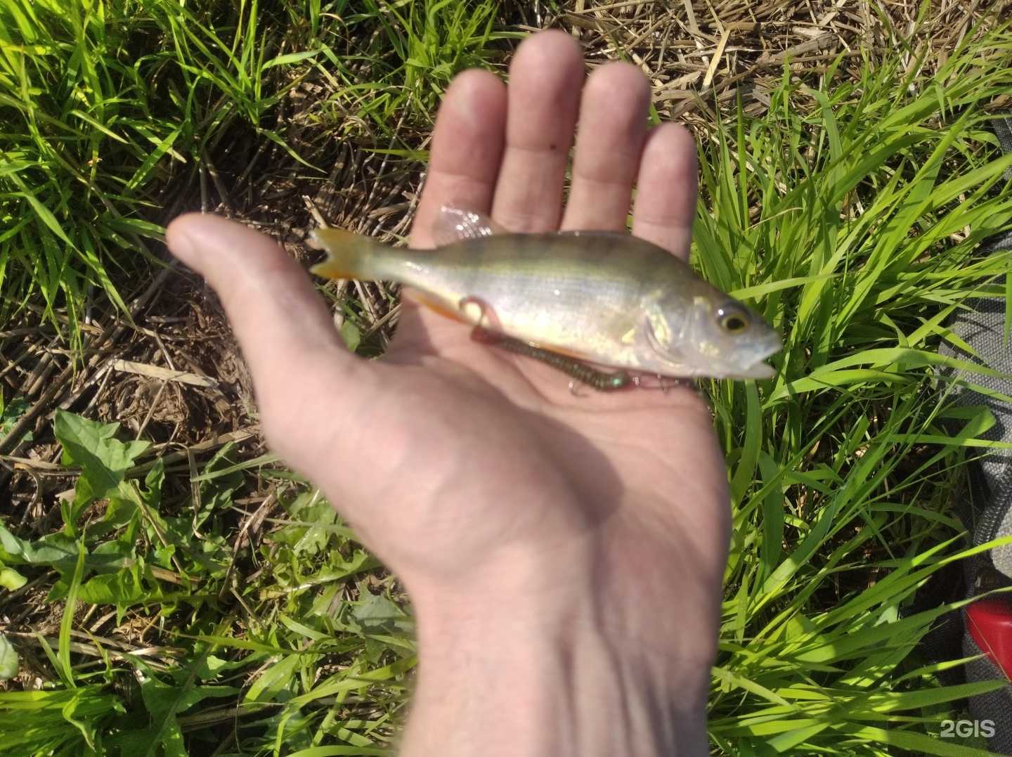 Отзывы на компанию Подстанция Ленинского района в Ижевске c фото - фотография 2 из 2