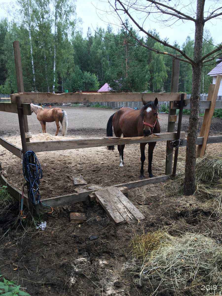 Отзывы на компанию Березит в Екатеринбурге c фото - фотография 2 из 2