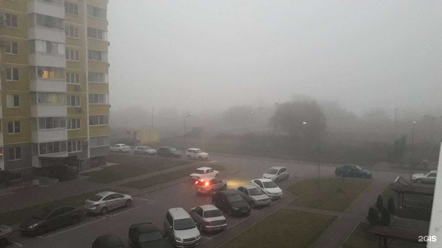 Отзывы на компанию Лиса Краса в Краснодаре c фото - фотография 2 из 2