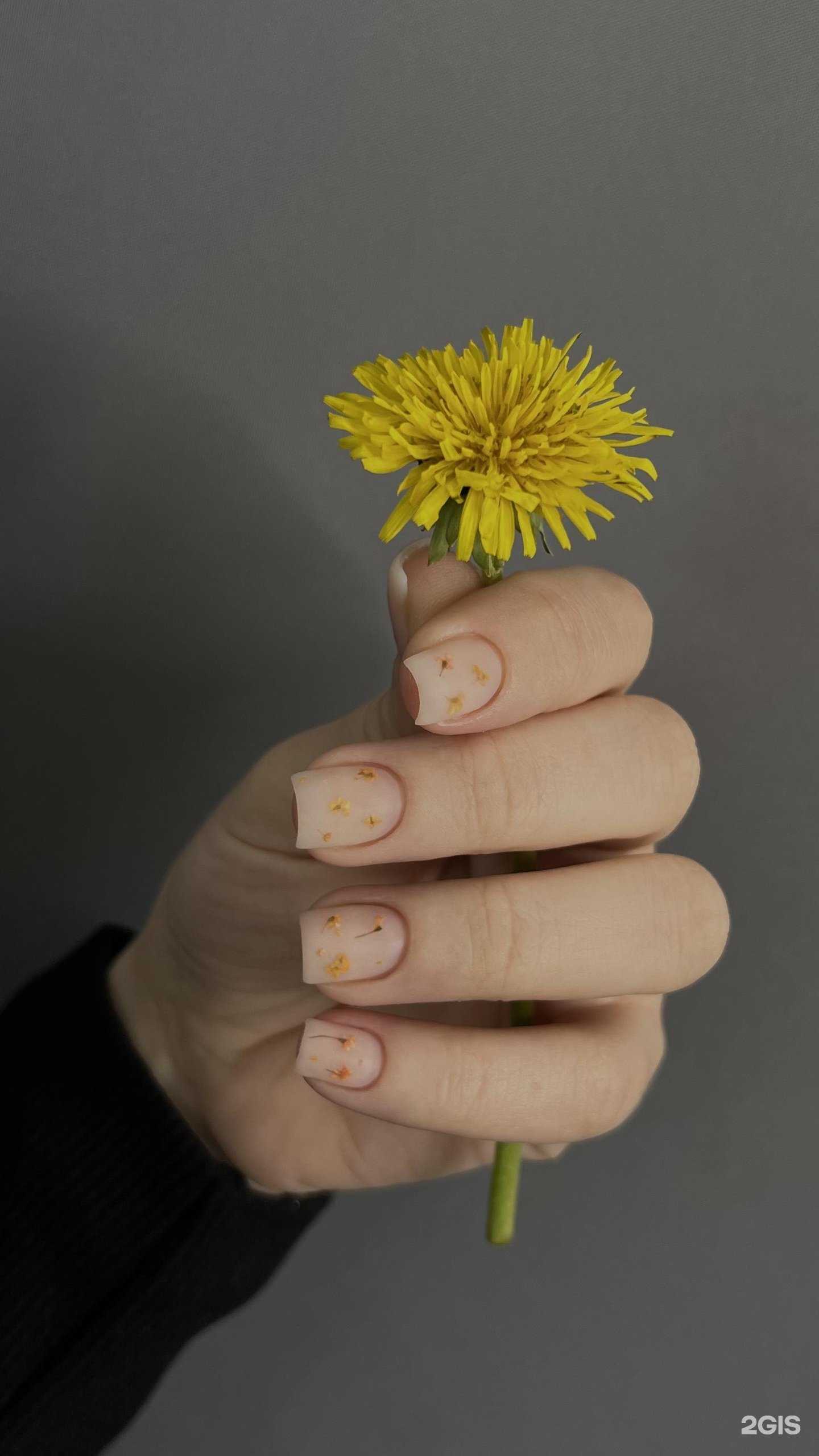 Отзывы на компанию Koala в Волгограде c фото