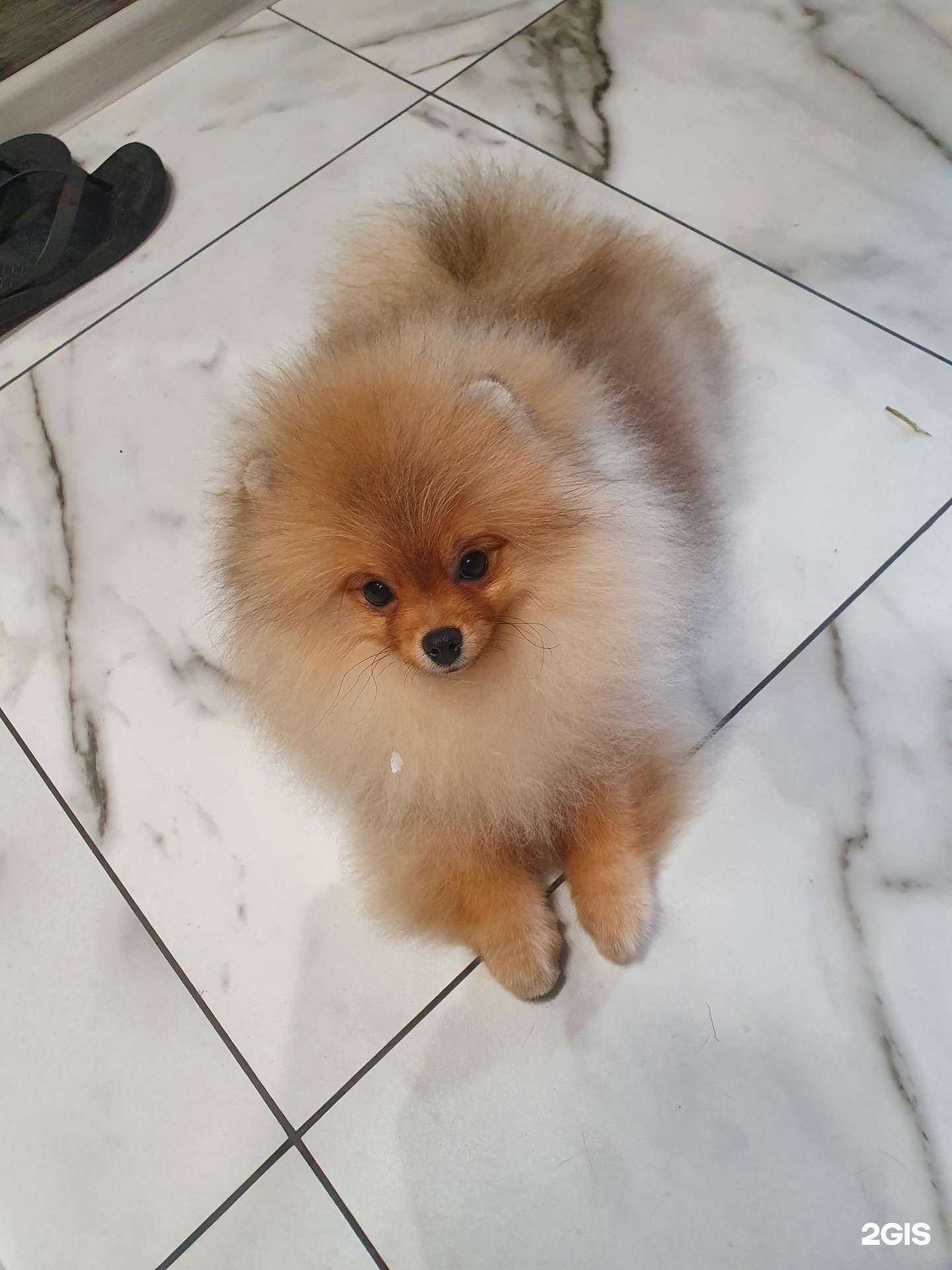 Отзывы на компанию Красный кролик в г. Новосибирск c фото