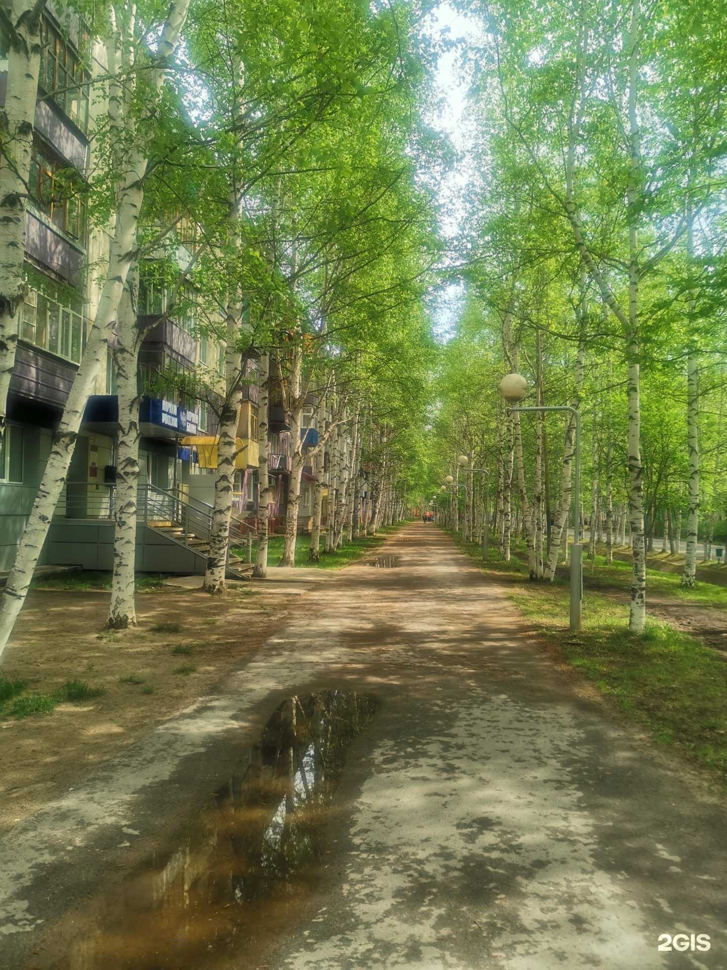 Отзывы на компанию Веточки в Нижневартовске c фото - фотография 2 из 2