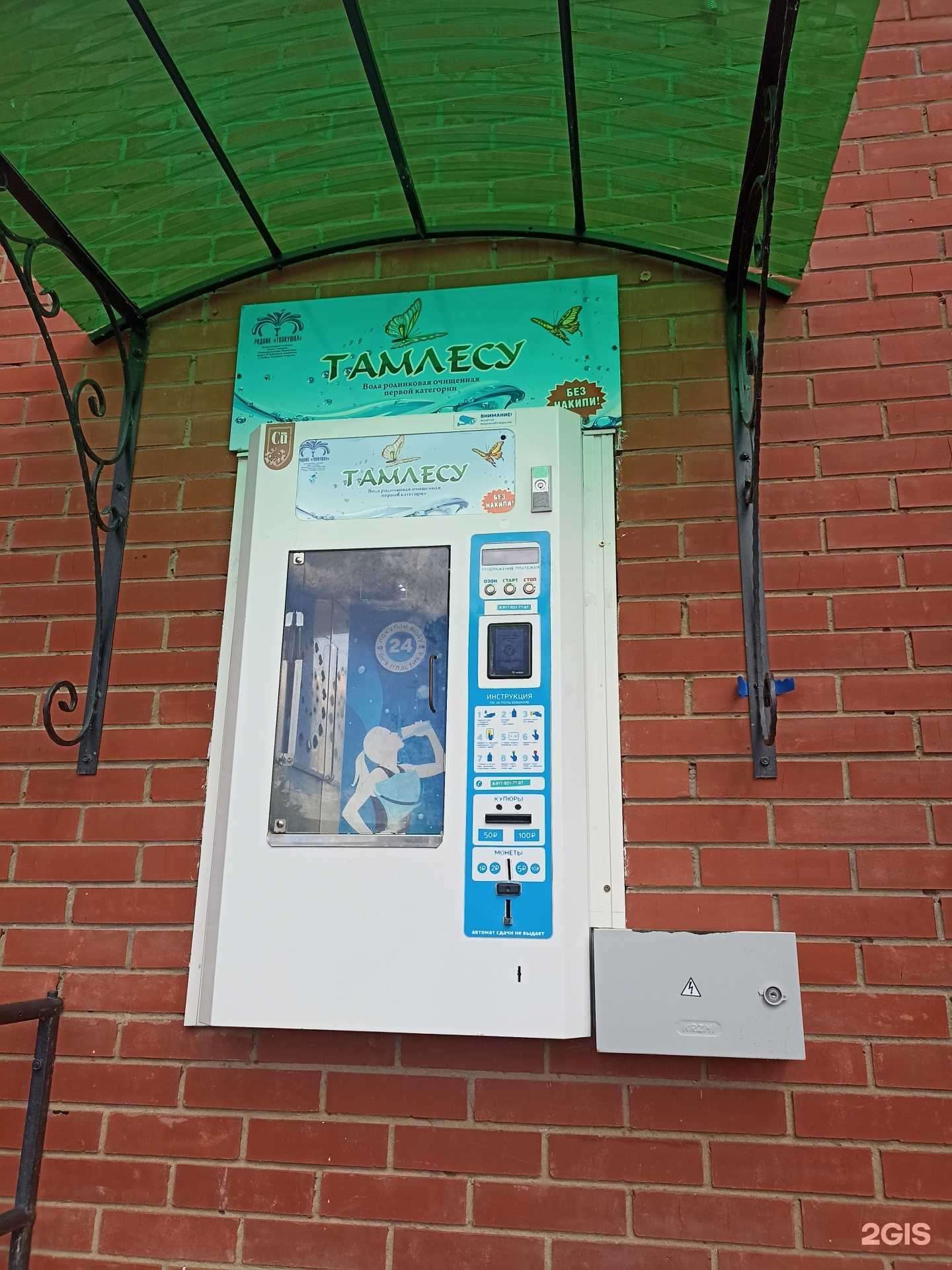 Отзывы на компанию Тамлесу в Елабуге c фото