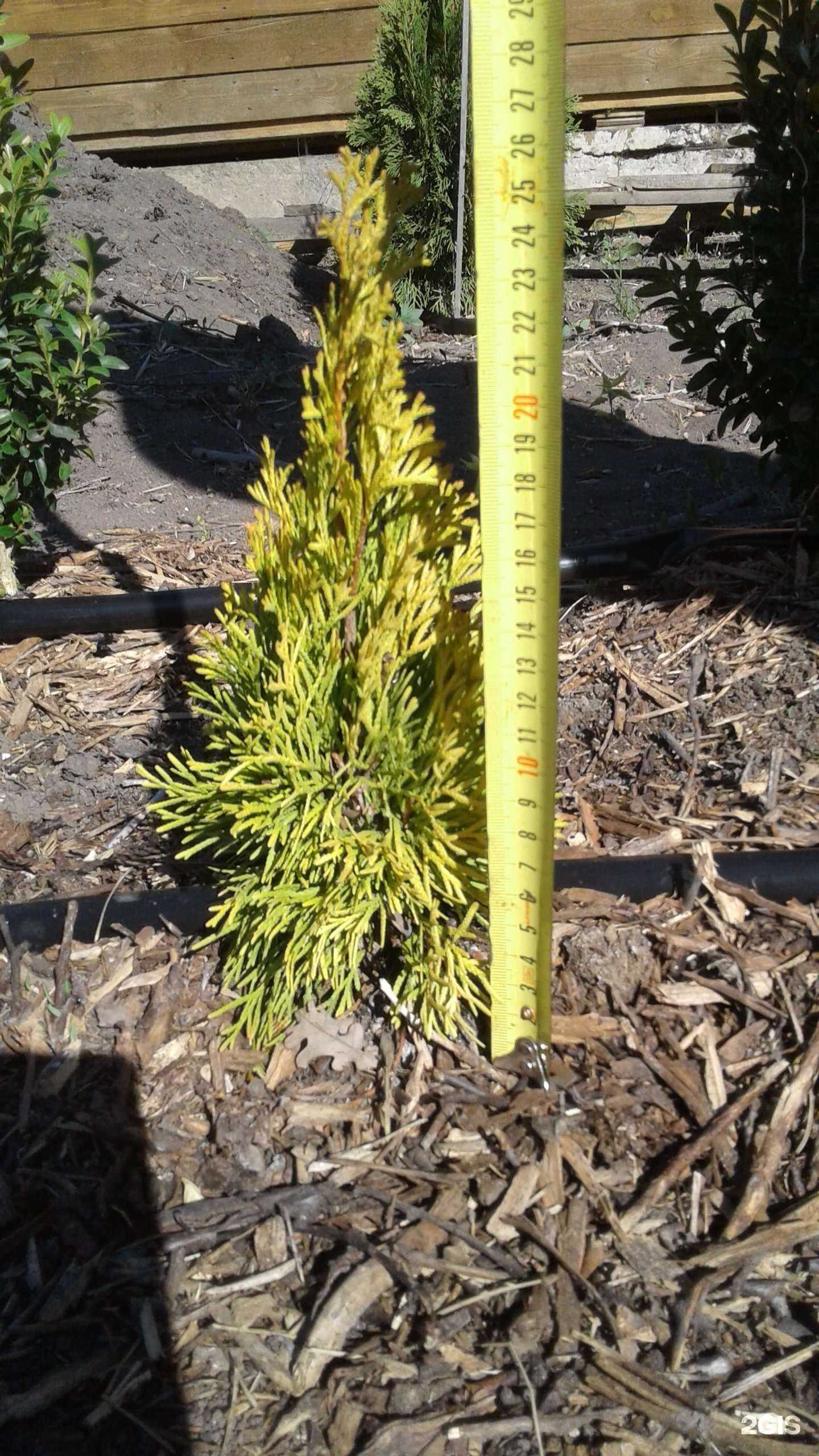 Отзывы на компанию Ёлки-Палки в г. Астрахань c фото