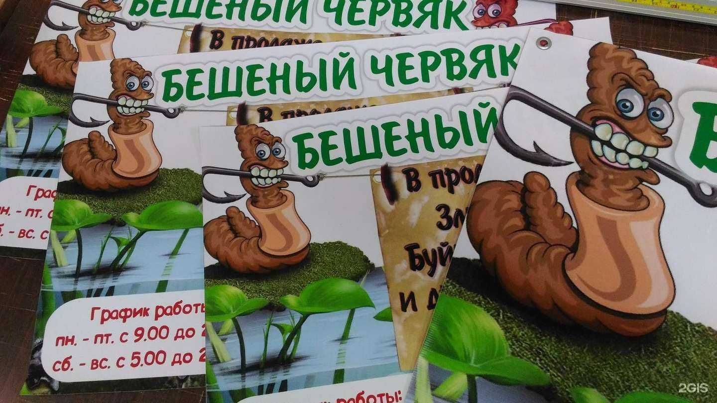 Отзывы на компанию Dixi в Калуге c фото