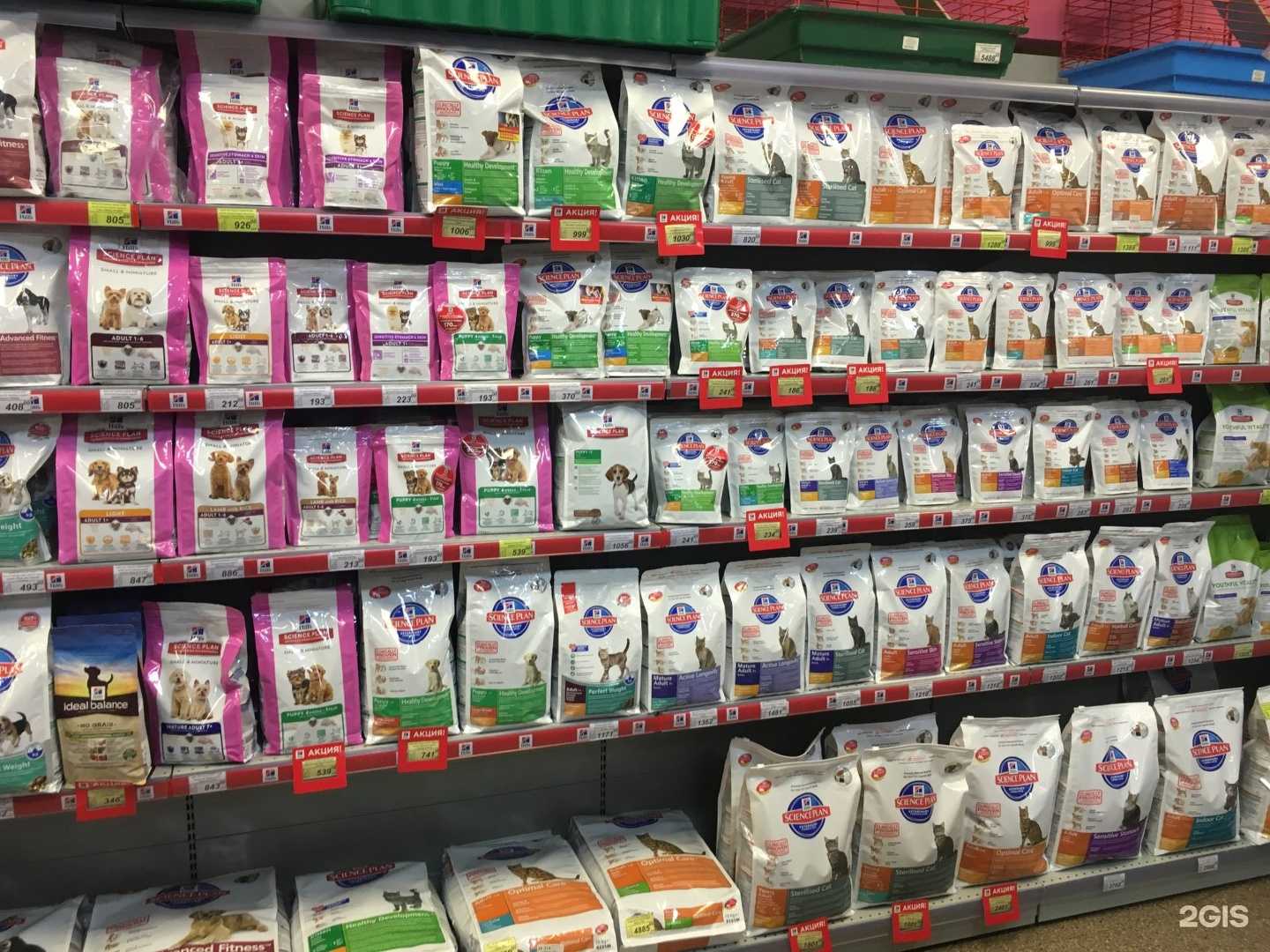 Отзывы на компанию Белый кролик в г. Артём c фото