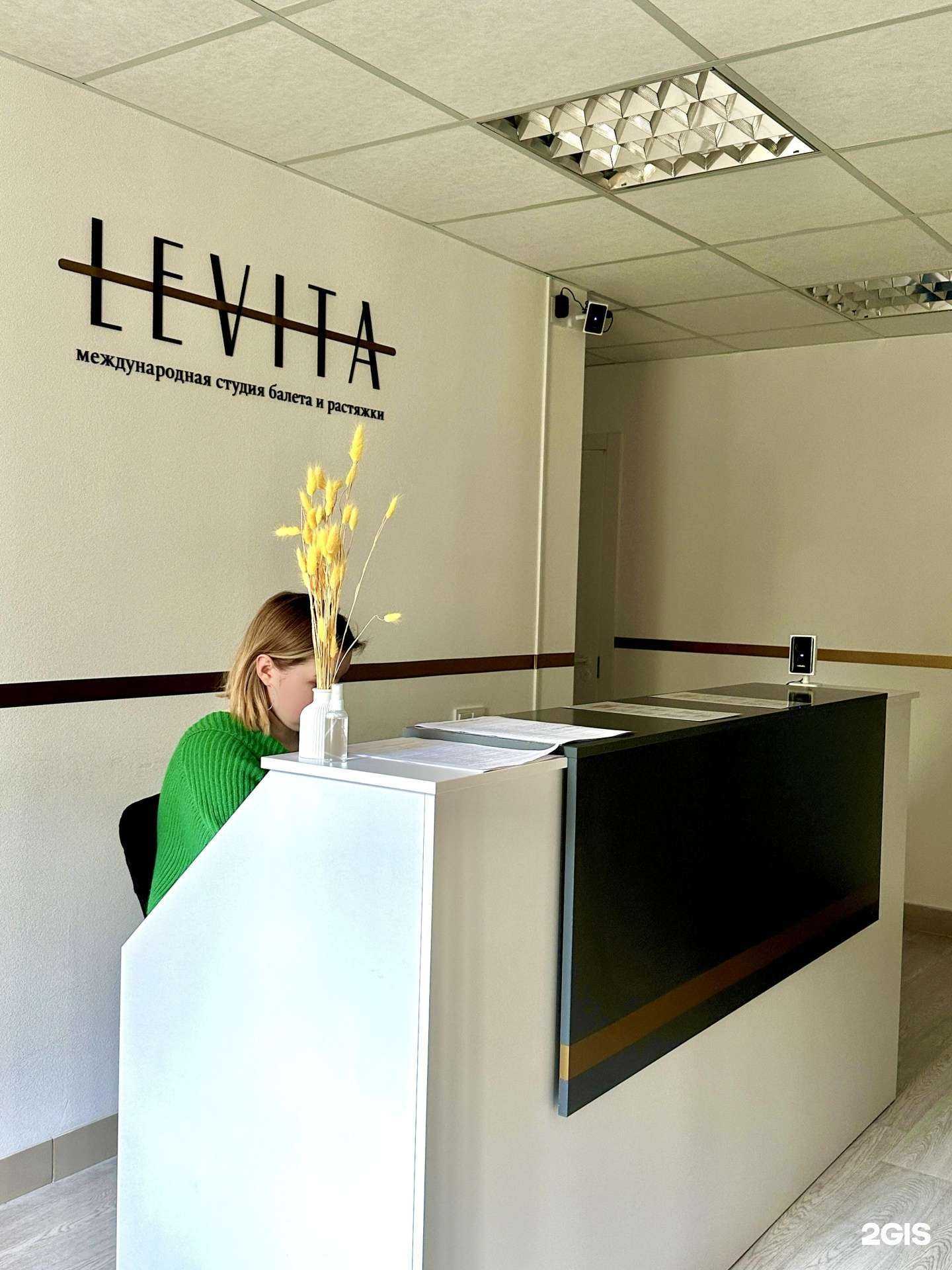 Отзывы на компанию Levita в Нижнем Новгороде c фото