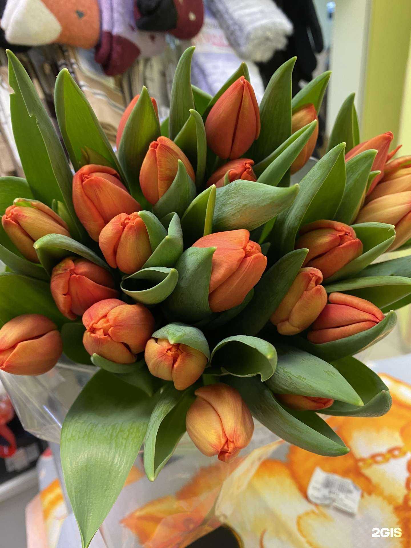 Отзывы на компанию Runa в г. Ижевск c фото