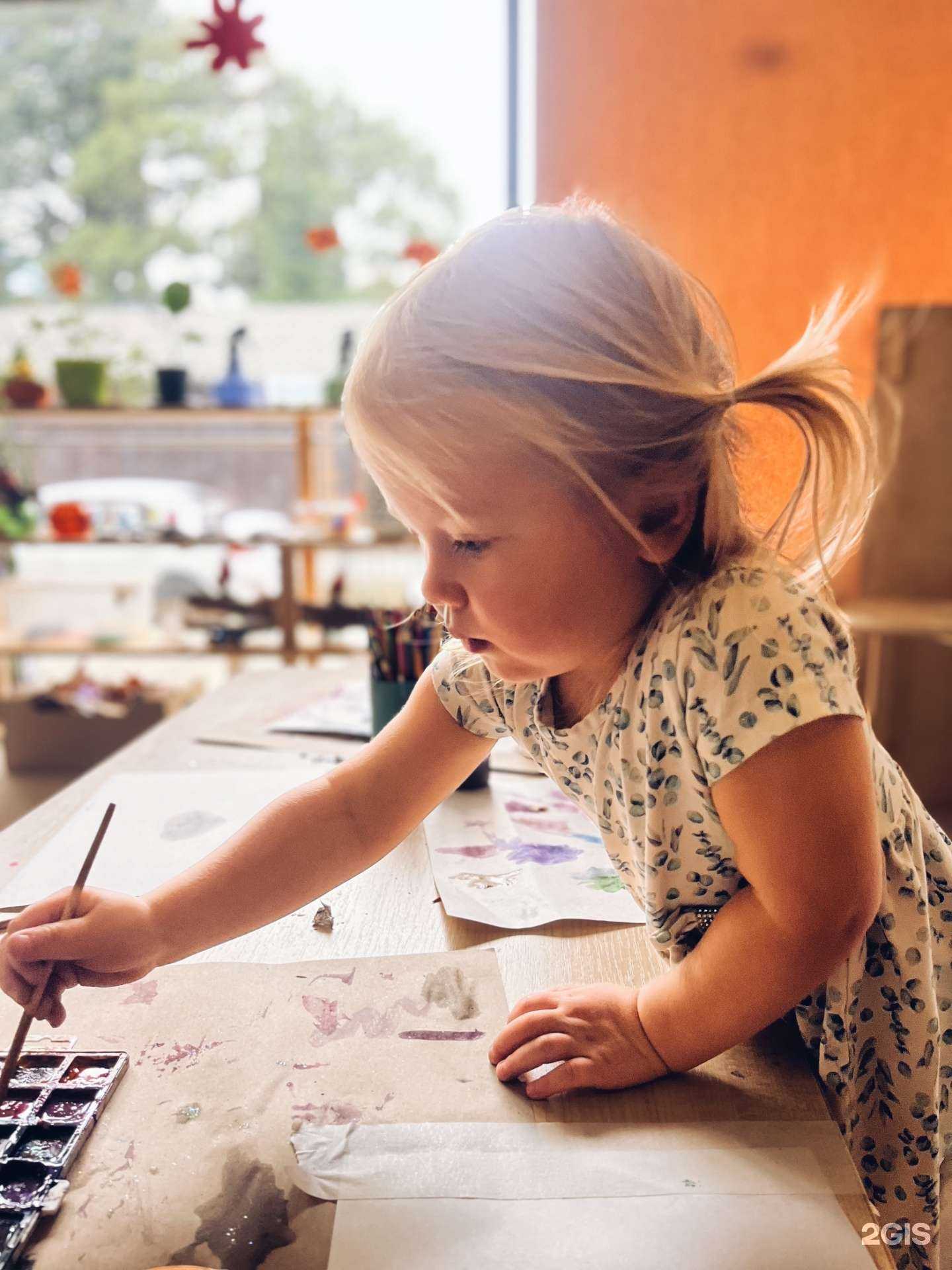 Отзывы на компанию Сад у Моря в г. Сочи c фото