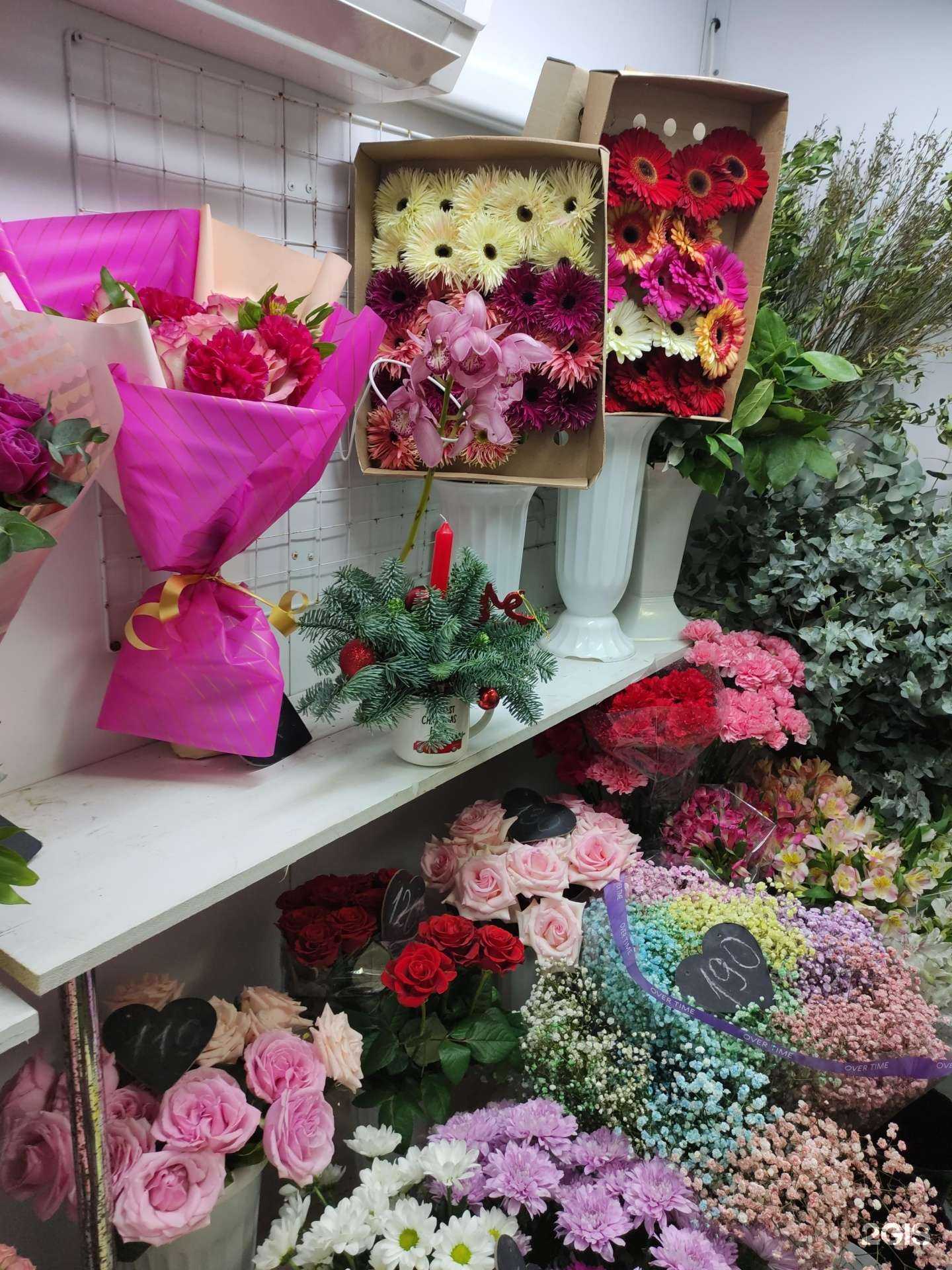 Отзывы на компанию Amster в Павловском Посаде c фото