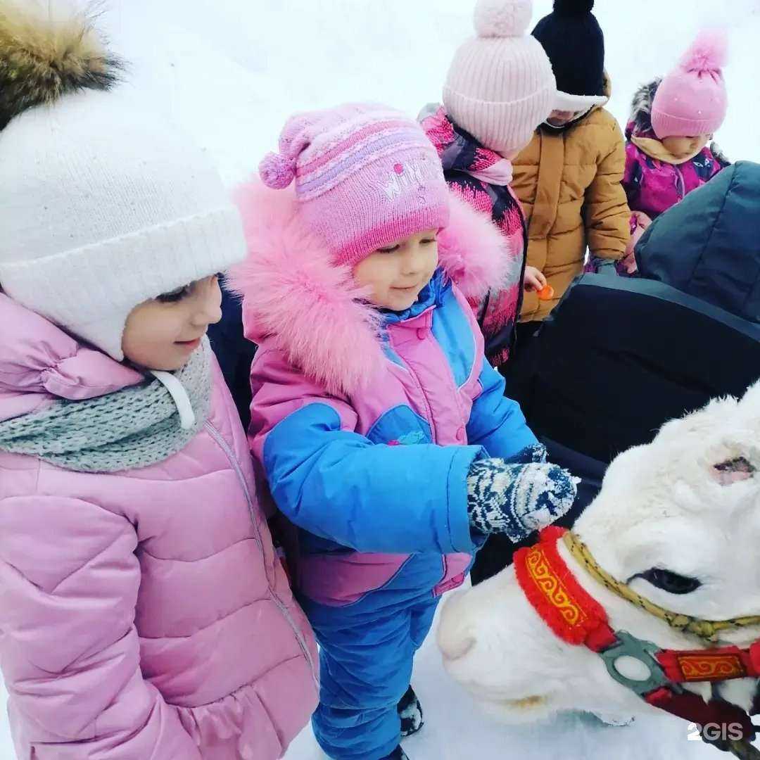 Отзывы на компанию Детский сад №6 в Владимире c фото