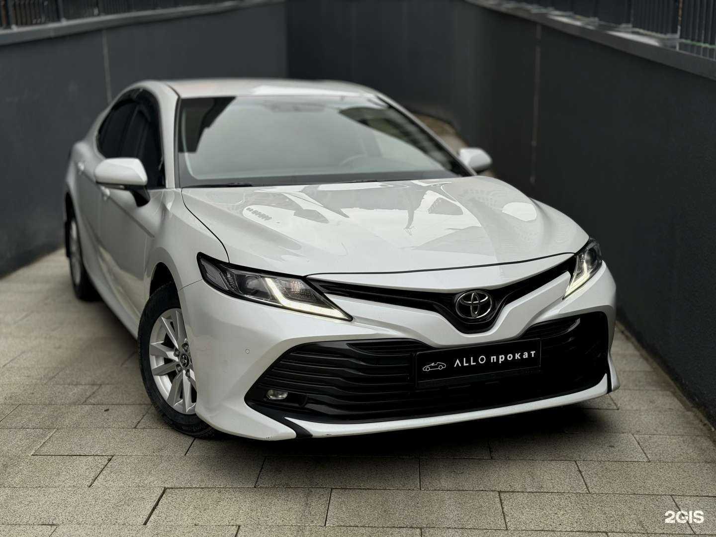 Отзывы на компанию ALLO|ПРОКАТ в Тюмени c фото