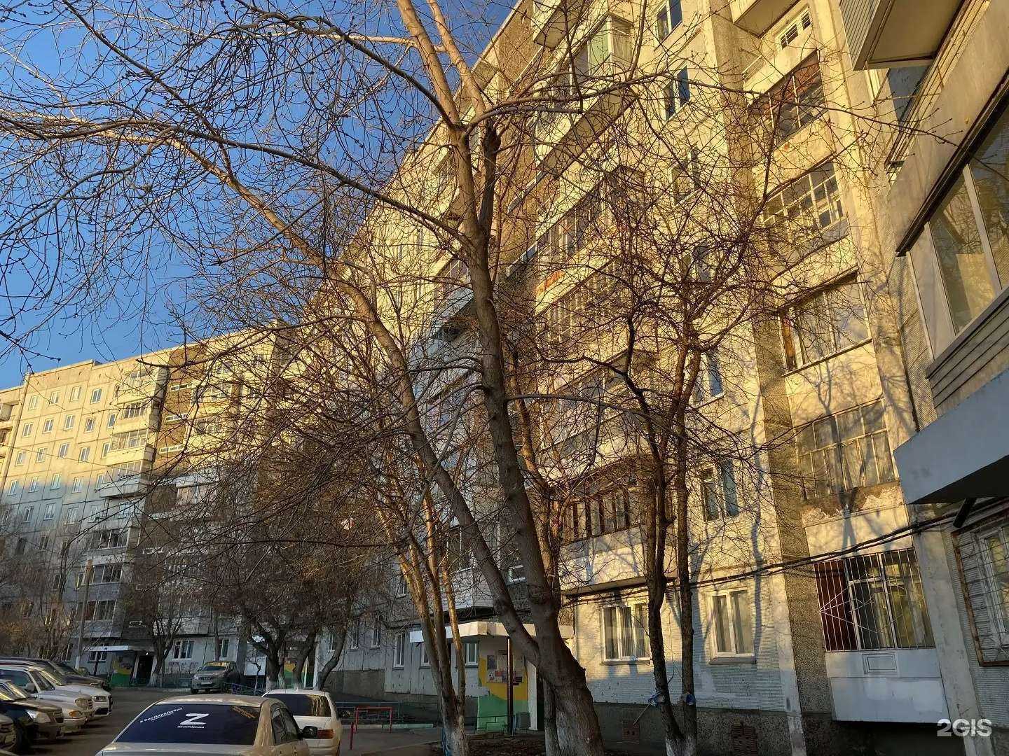 Отзывы на компанию Животный мир в г. Красноярск c фото