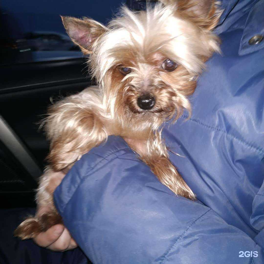 Отзывы на компанию B2b в г. Архангельск c фото