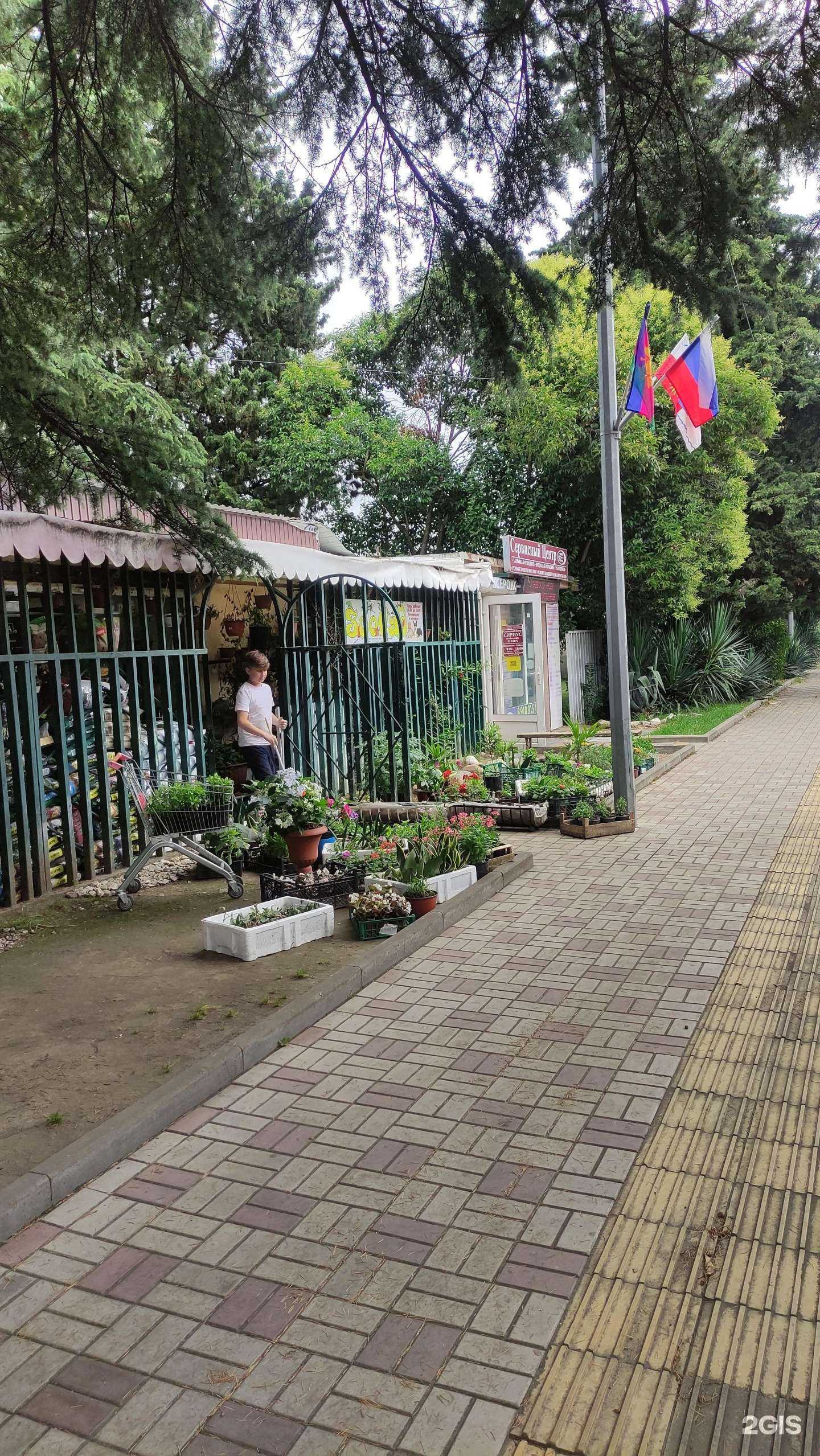 Отзывы на компанию Сириус в Сочи c фото