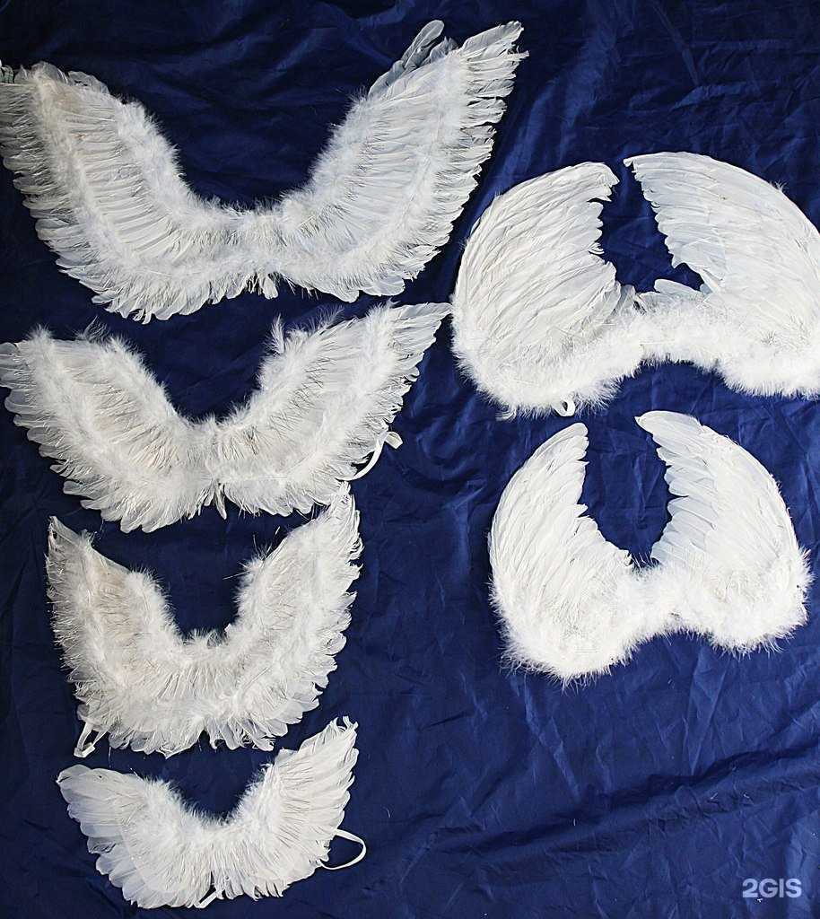 Отзывы на компанию Компания по изготовлению карнавальных крыльев и париков в Новосибирске c фото