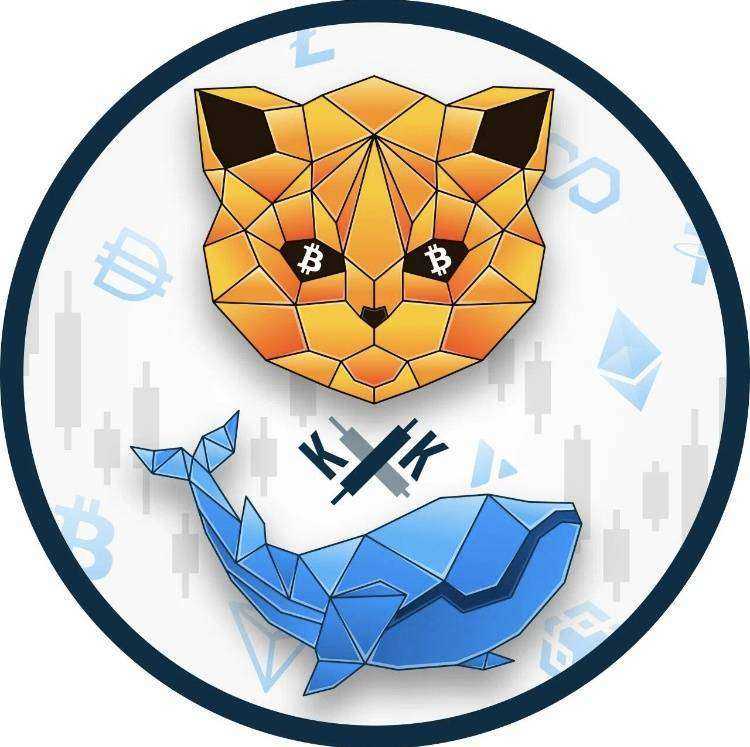 Отзывы на компанию StarcevDigital в Калининграде c фото