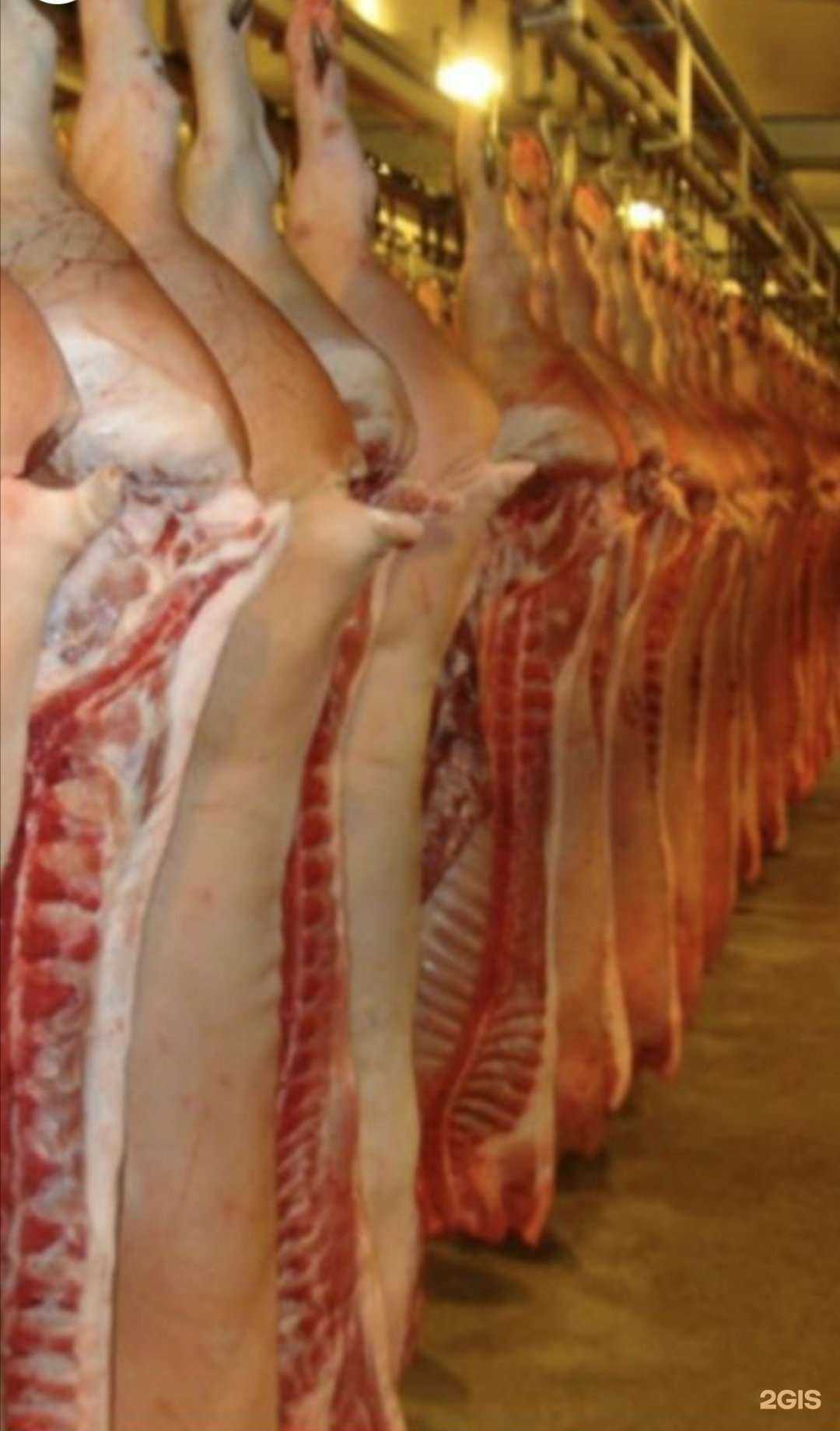 Отзывы на компанию Мясная Тема в г. Новокузнецк c фото