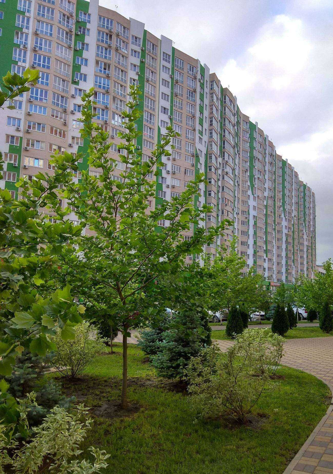 Отзывы на компанию Девелопмент-Юг в Краснодаре c фото - фотография 2 из 2