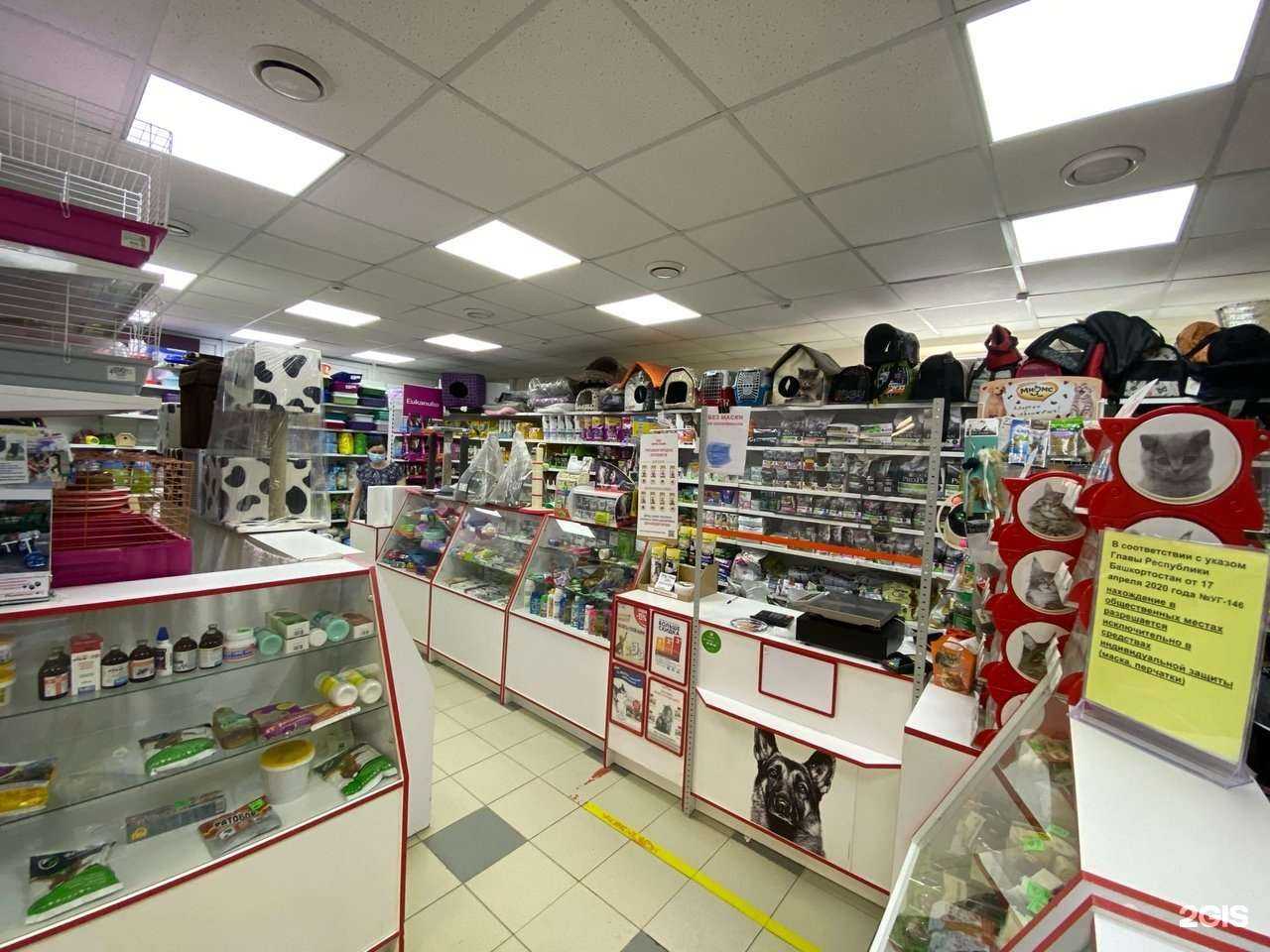 Отзывы на компанию Кошкин дом в г. Благовещенск c фото