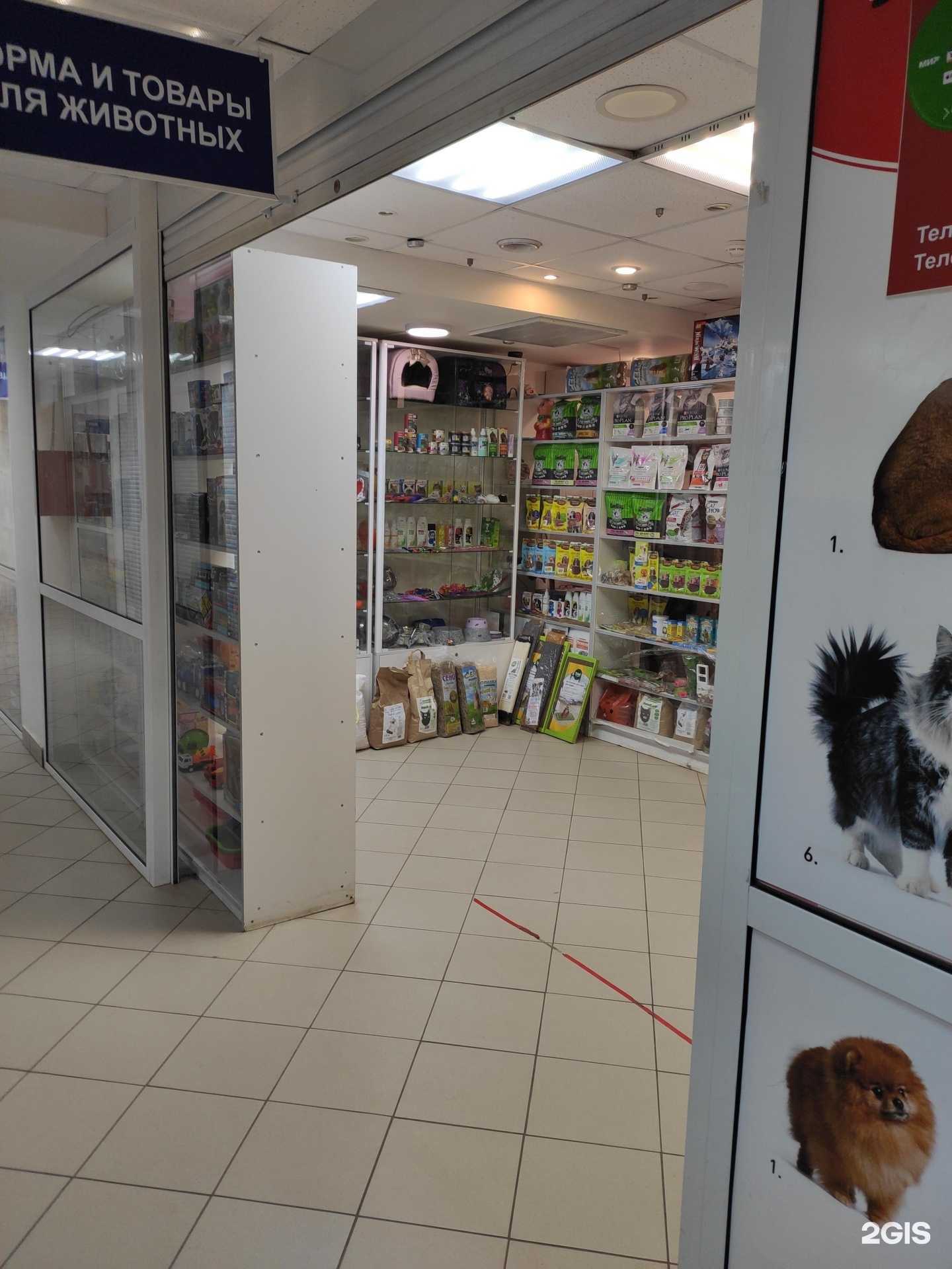 Отзывы на компанию Кот и пёс в г. Нижний Новгород c фото