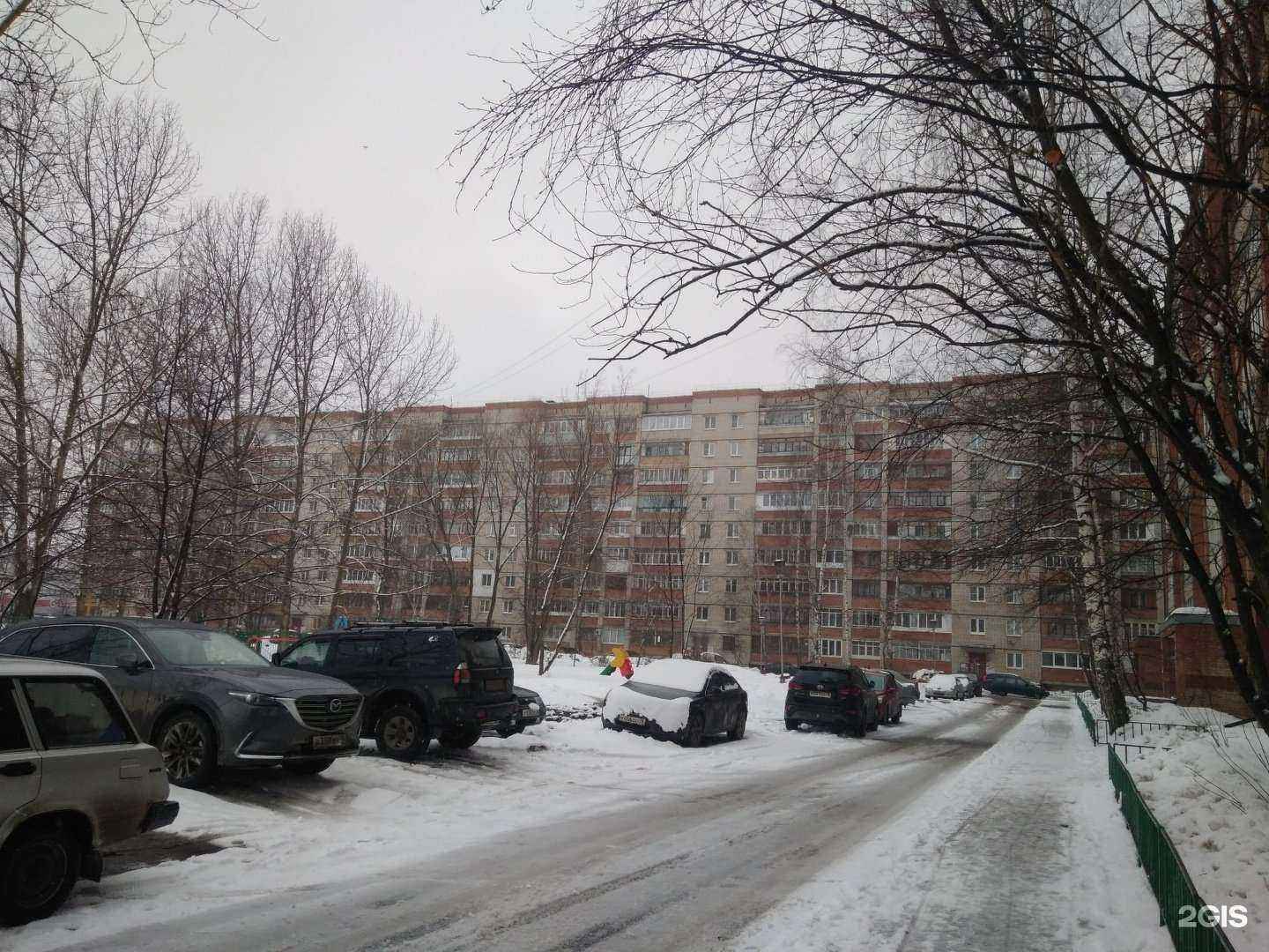 Отзывы на компанию Максавит в Ярославле c фото - фотография 2 из 2