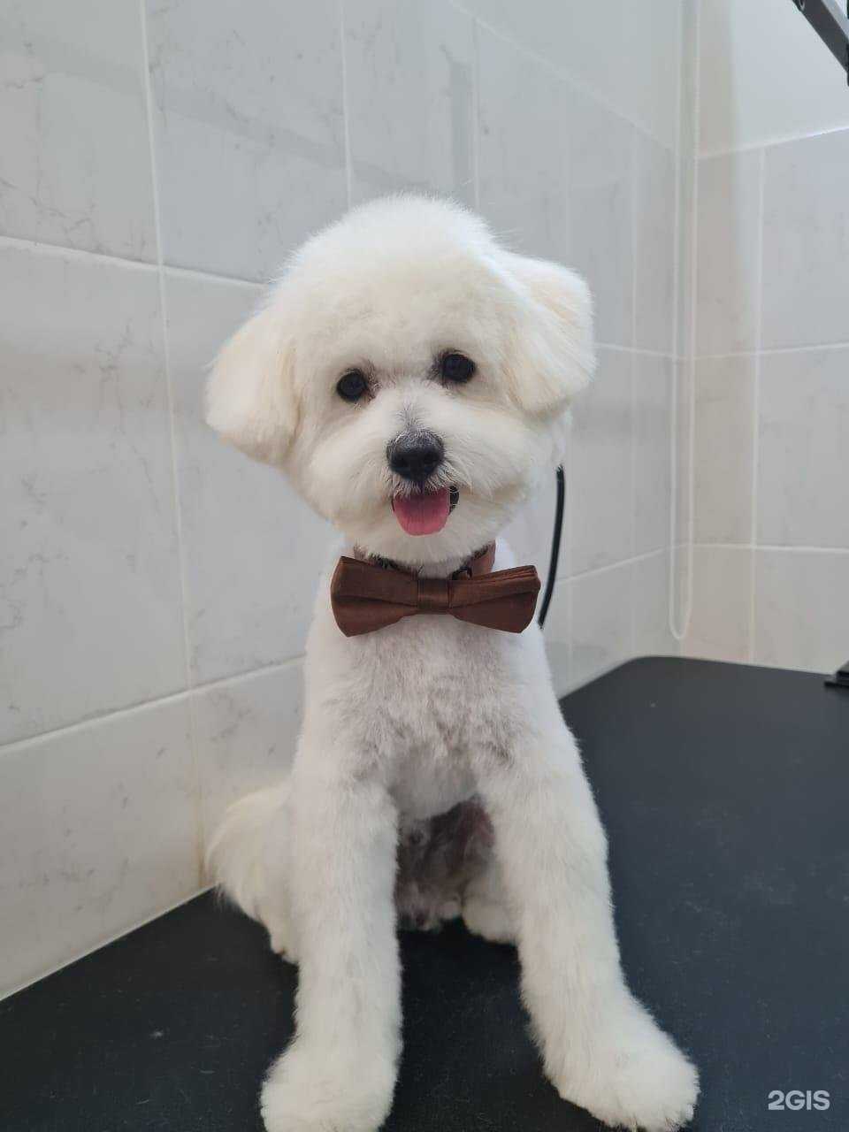 Отзывы на компанию Красный кролик в Новосибирске c фото