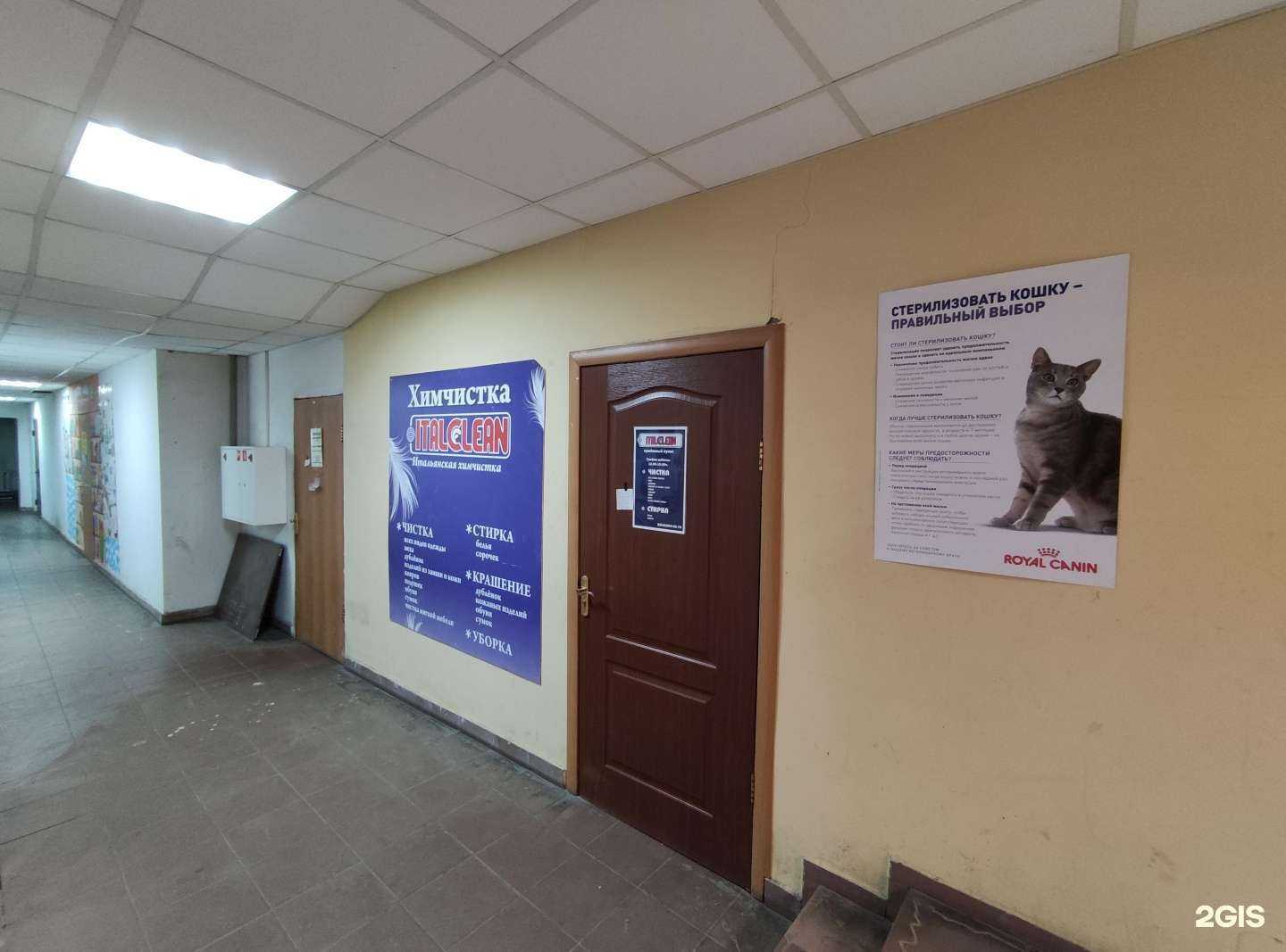 Отзывы на компанию ITALLCLEAN в Пушкине c фото