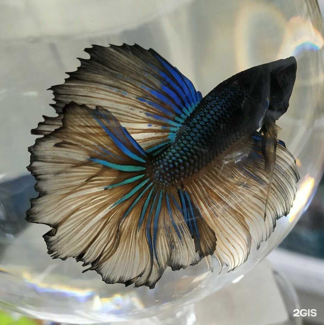 Отзывы на компанию Зоовет Умка в Воронеже c фото