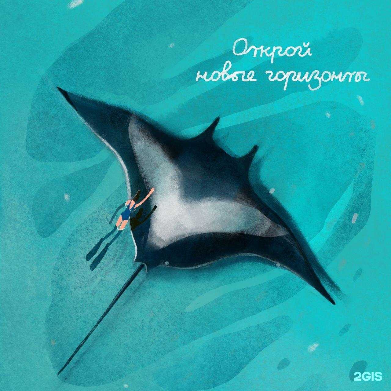 Отзывы на компанию Momentov MoRe в г. Петропавловск-Камчатский c фото