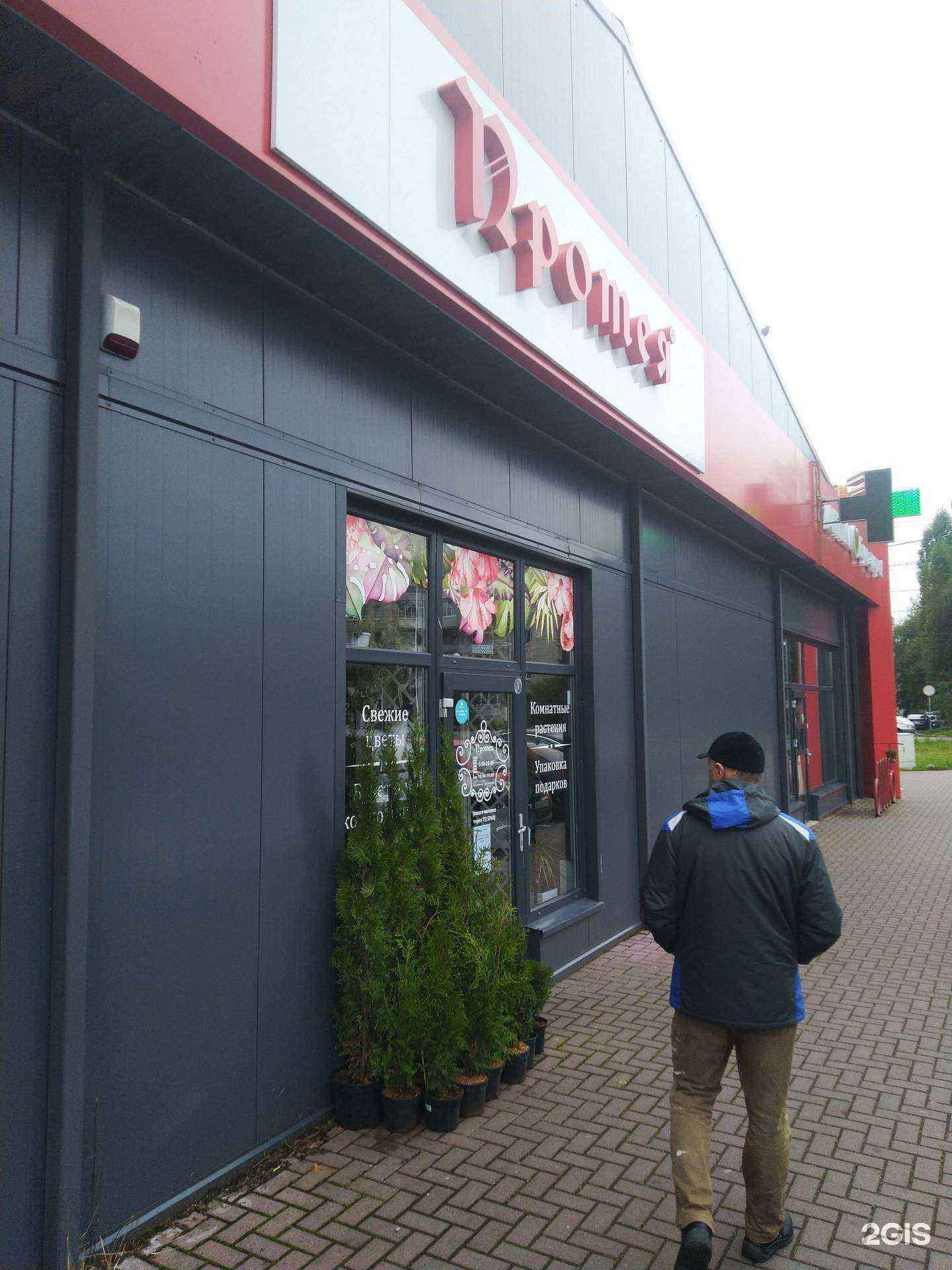 Отзывы на компанию Протея в Калининграде c фото