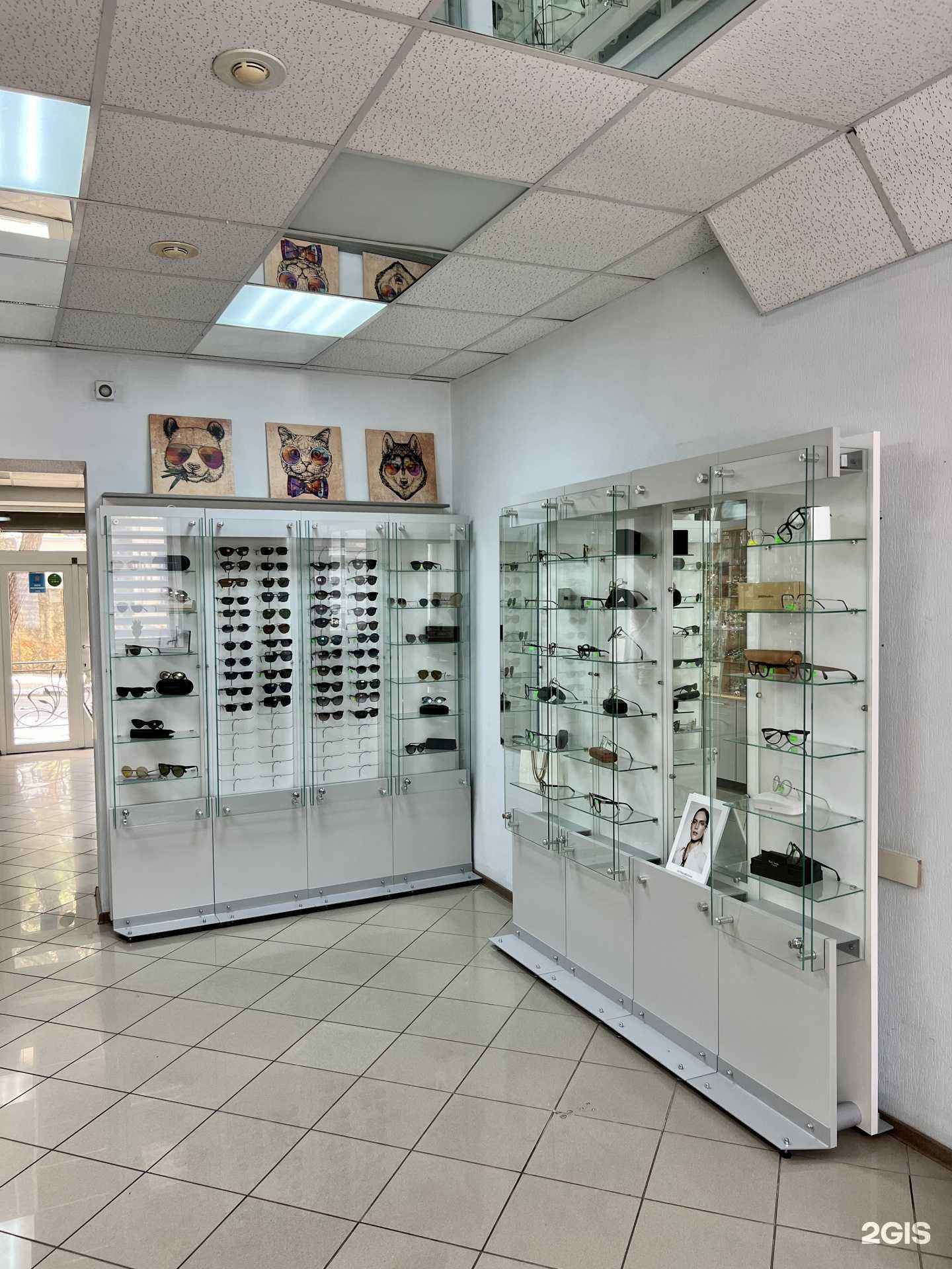 Отзывы на компанию Оптик плюс в г. Новороссийск c фото