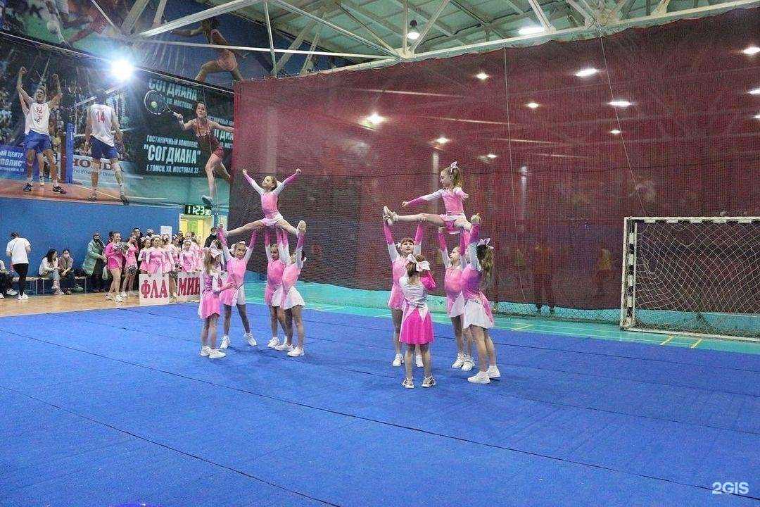 Отзывы на компанию Фламинго в Северске c фото