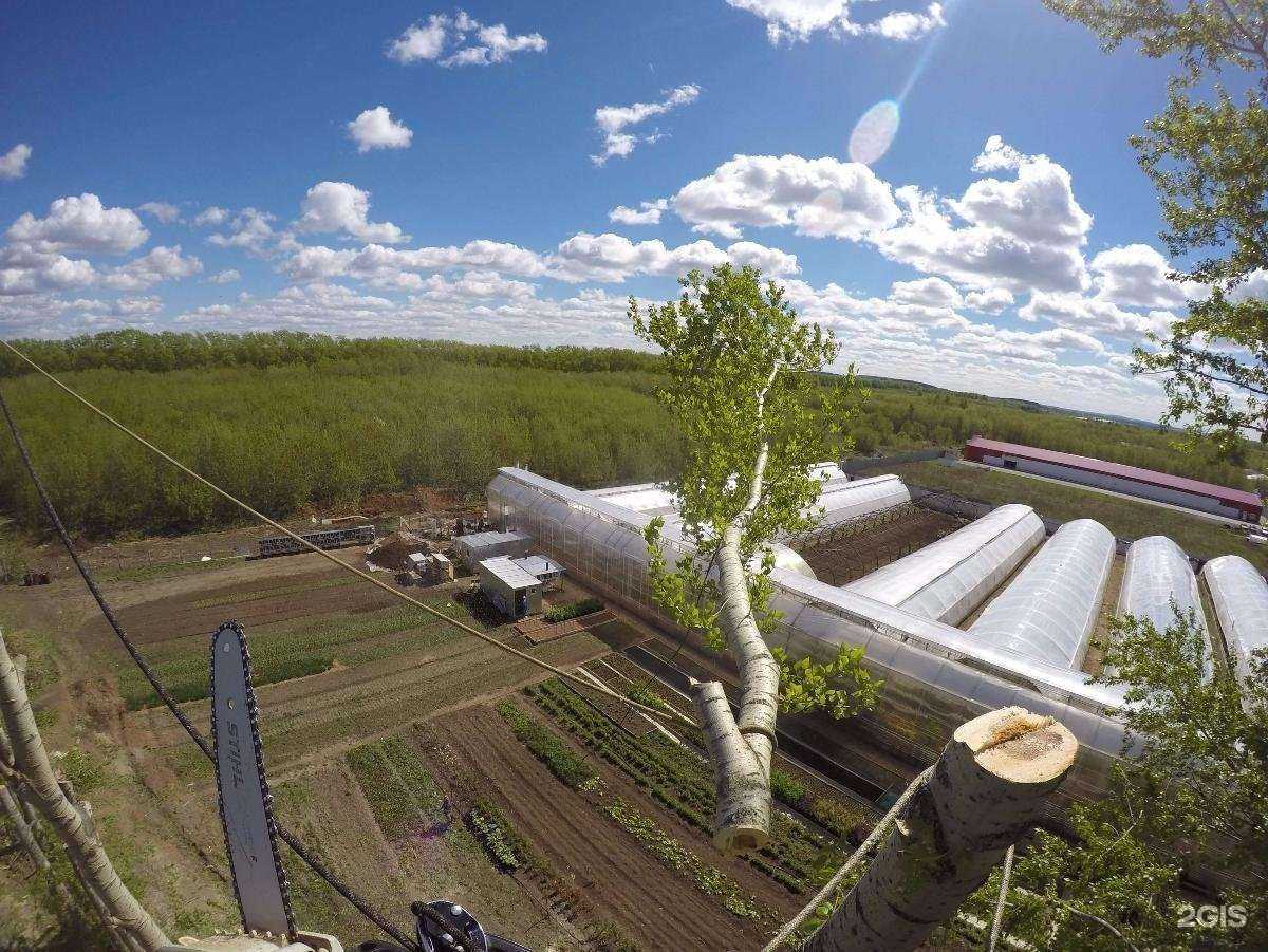 Отзывы на компанию Лесоруб в Перми c фото