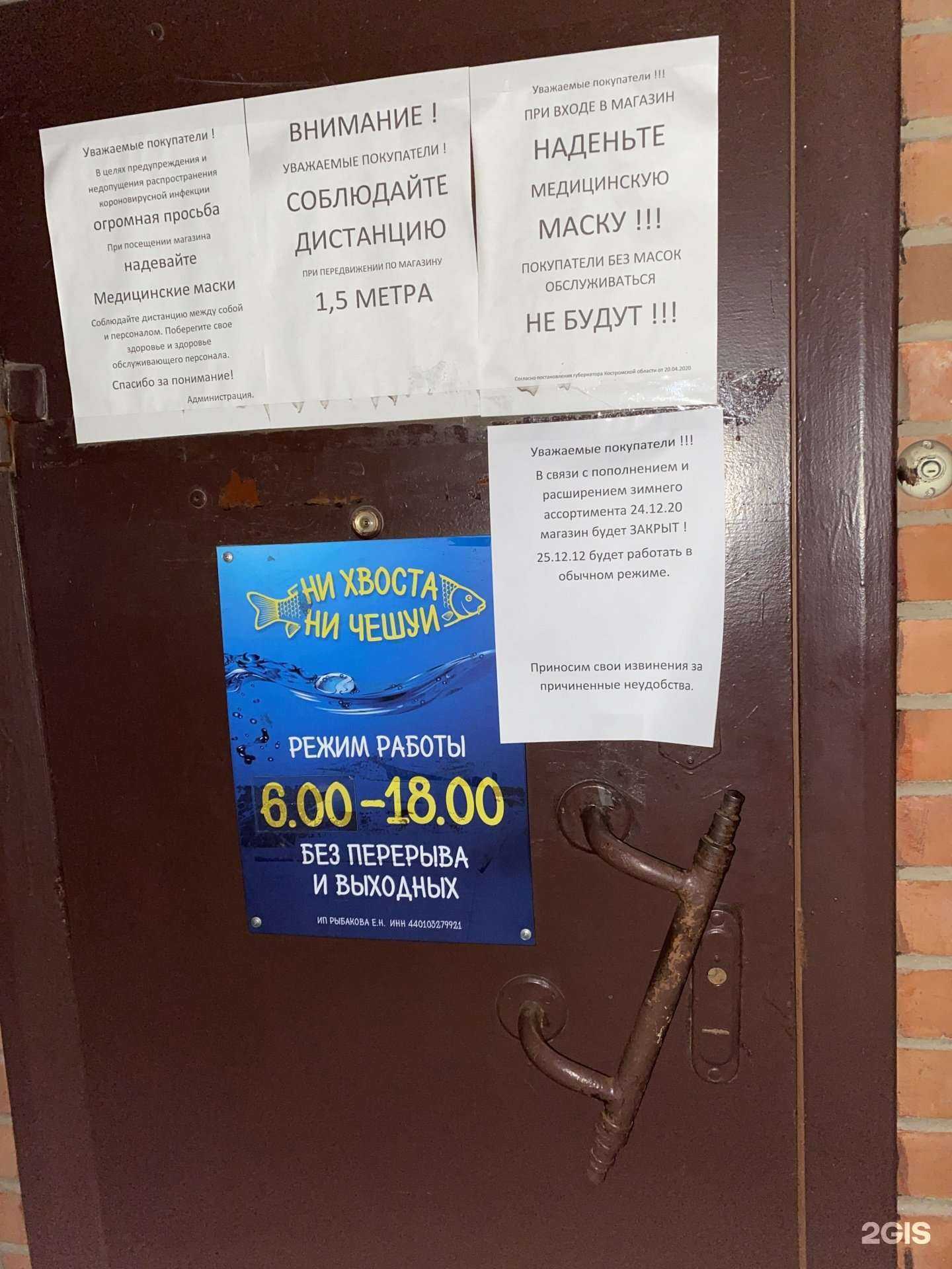 Отзывы на компанию Ни хвоста, ни чешуи в Костроме c фото