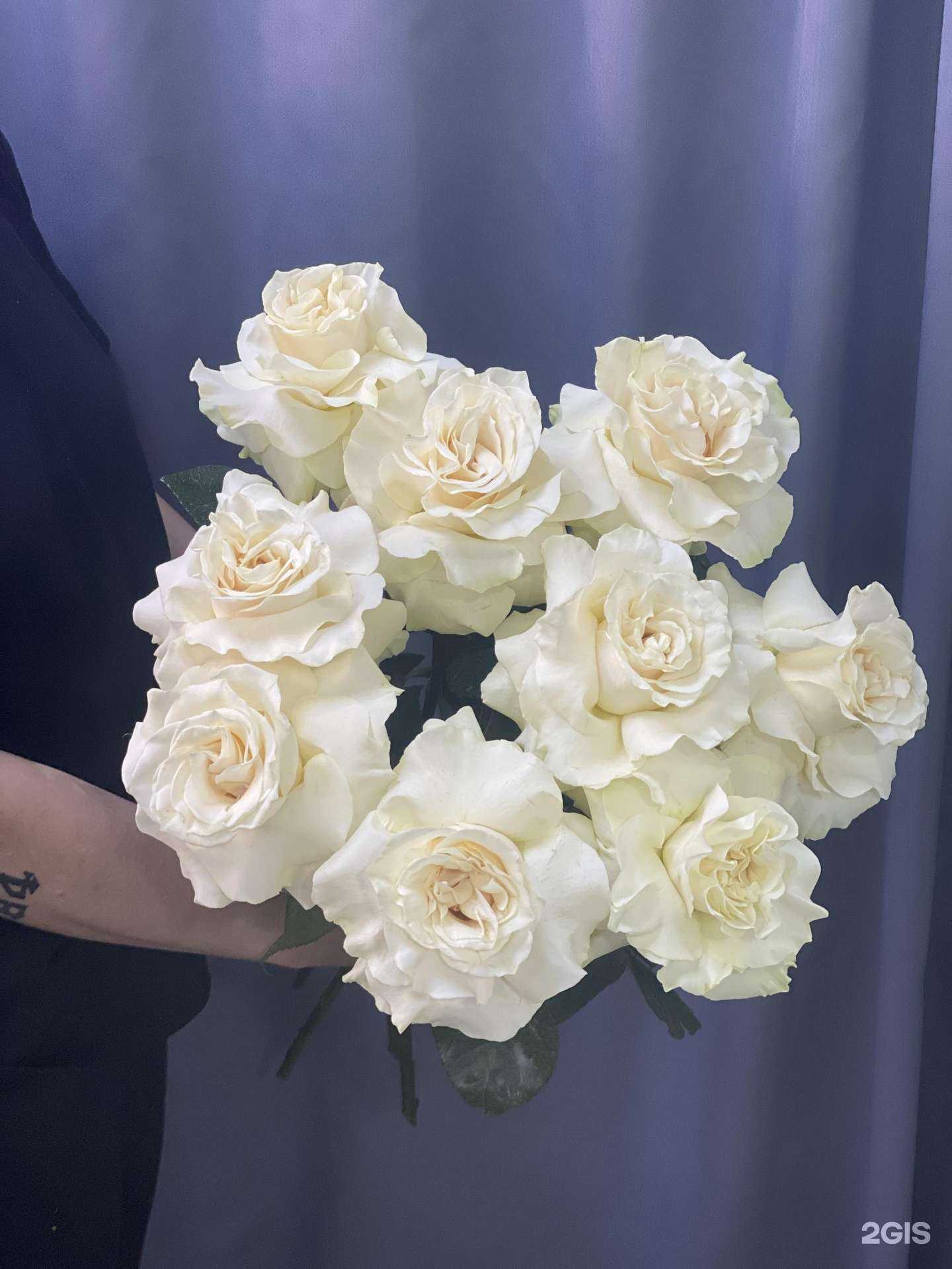 Отзывы на компанию Флория в Кстове c фото