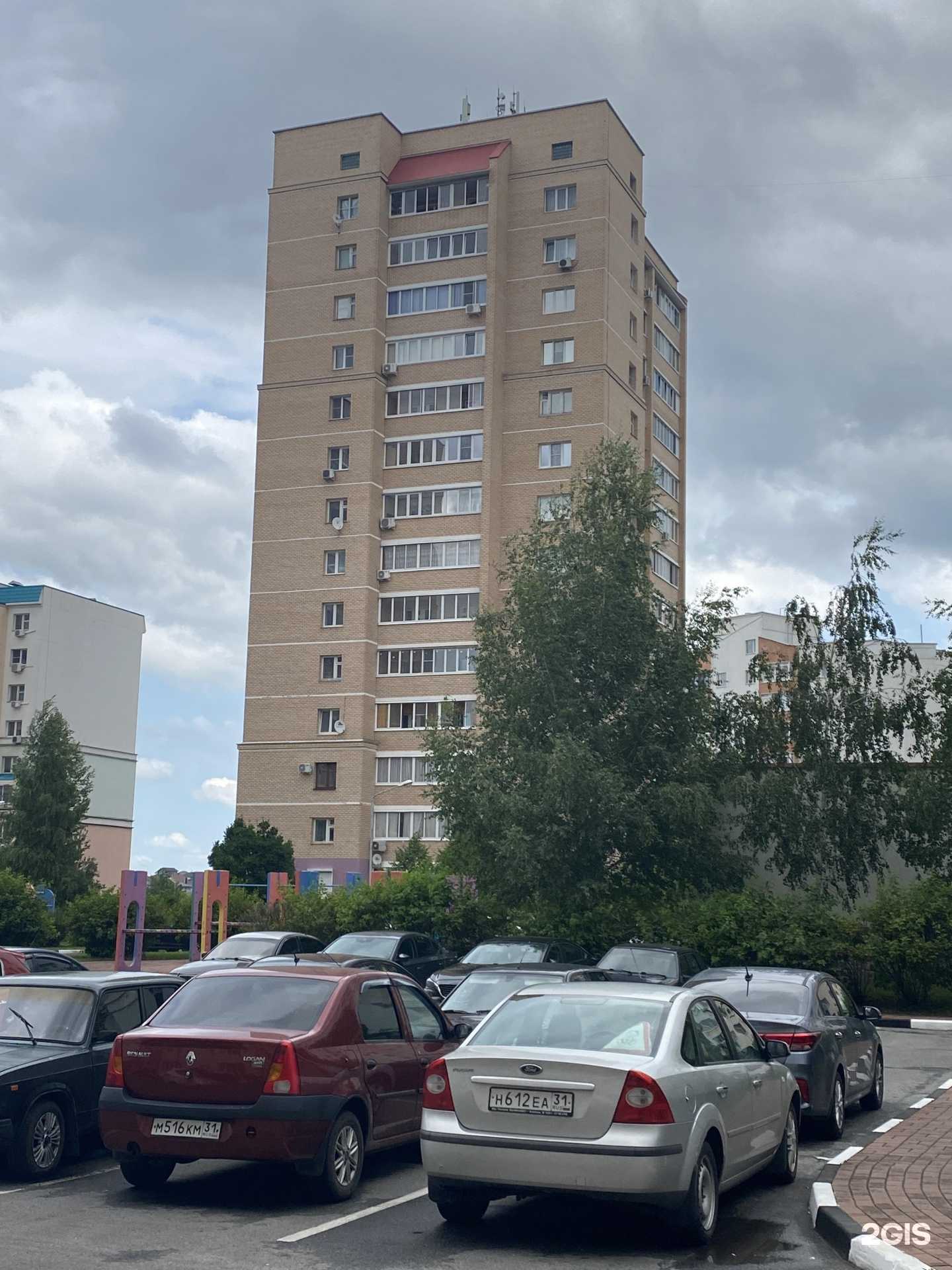 Отзывы на компанию Lash&brow в Старом Осколе c фото