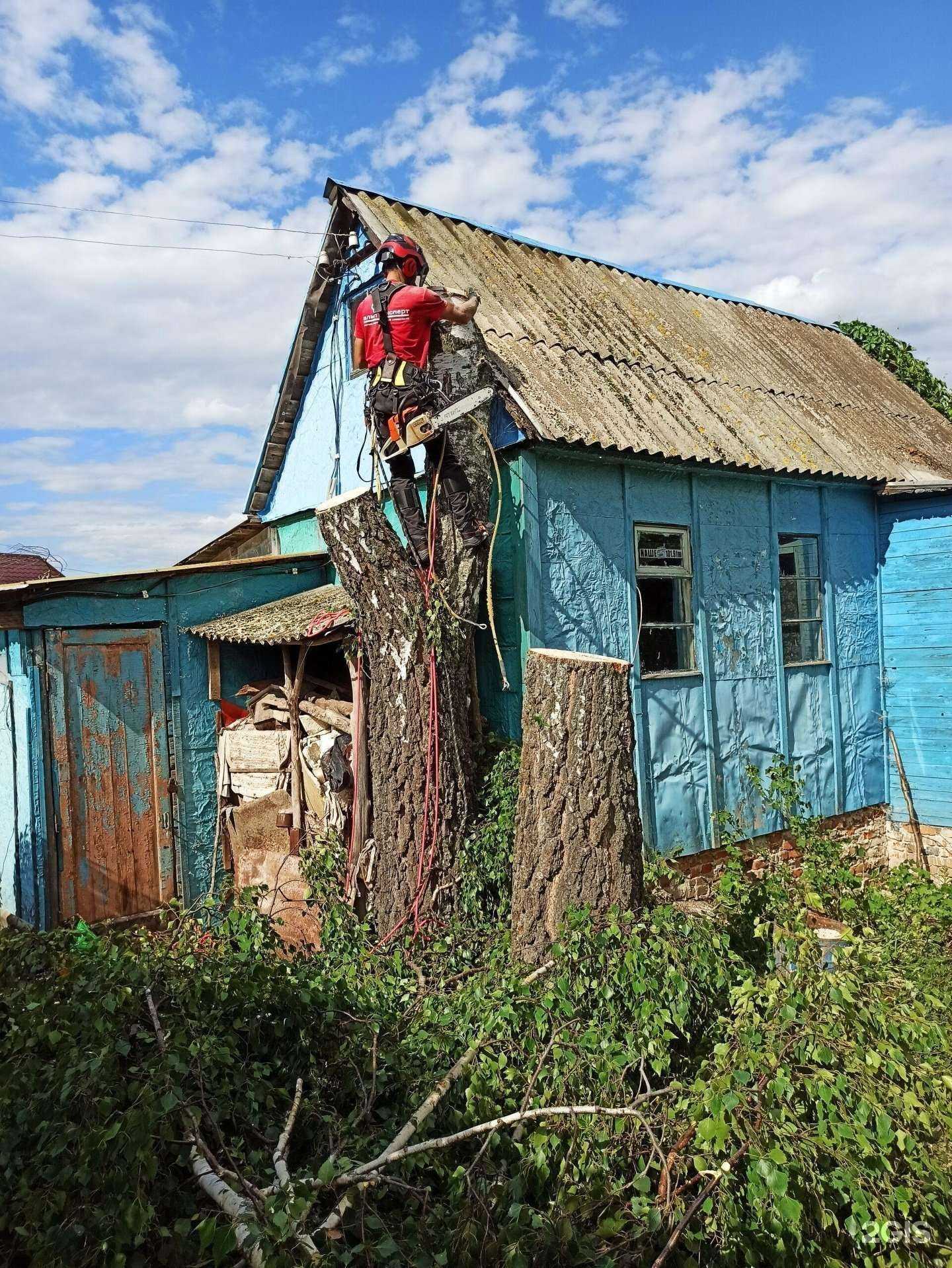 Отзывы на компанию Альпэксперт в г. Алексин c фото