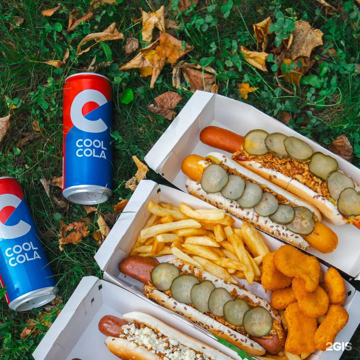 Отзывы на компанию Stardogs в Воронеже c фото